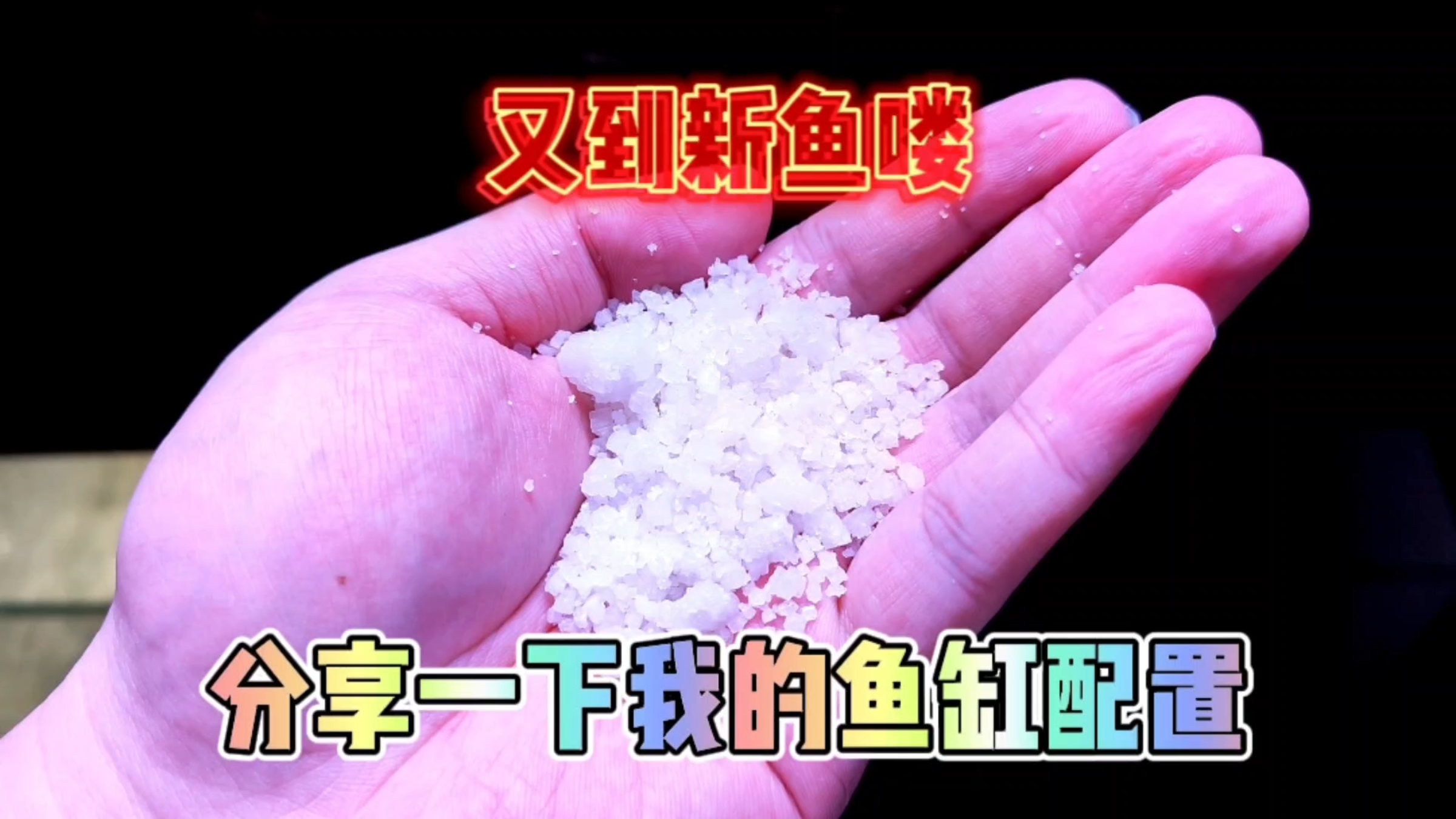 开箱!一口气买了60条蓝礼服孔雀鱼,分享一下我自己的鱼缸配置!