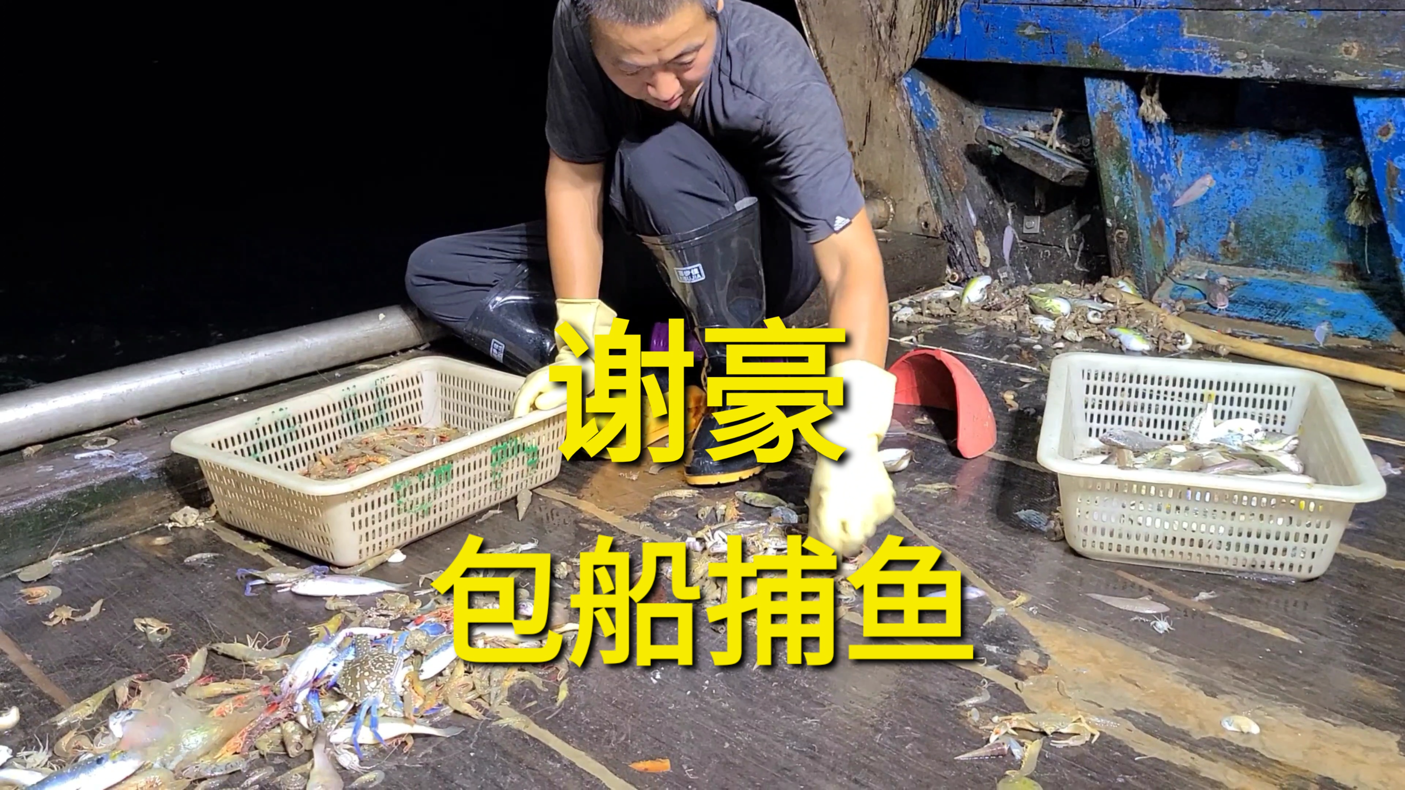 真实渔船包网捕捞现场,大家觉得划算吗