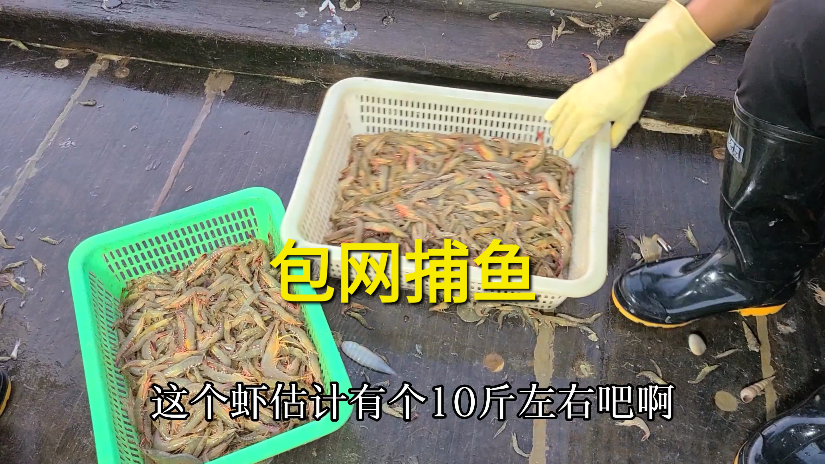 4个小朋友包船捕鱼聚餐,这些就是他们的收获,大家看够吃吗