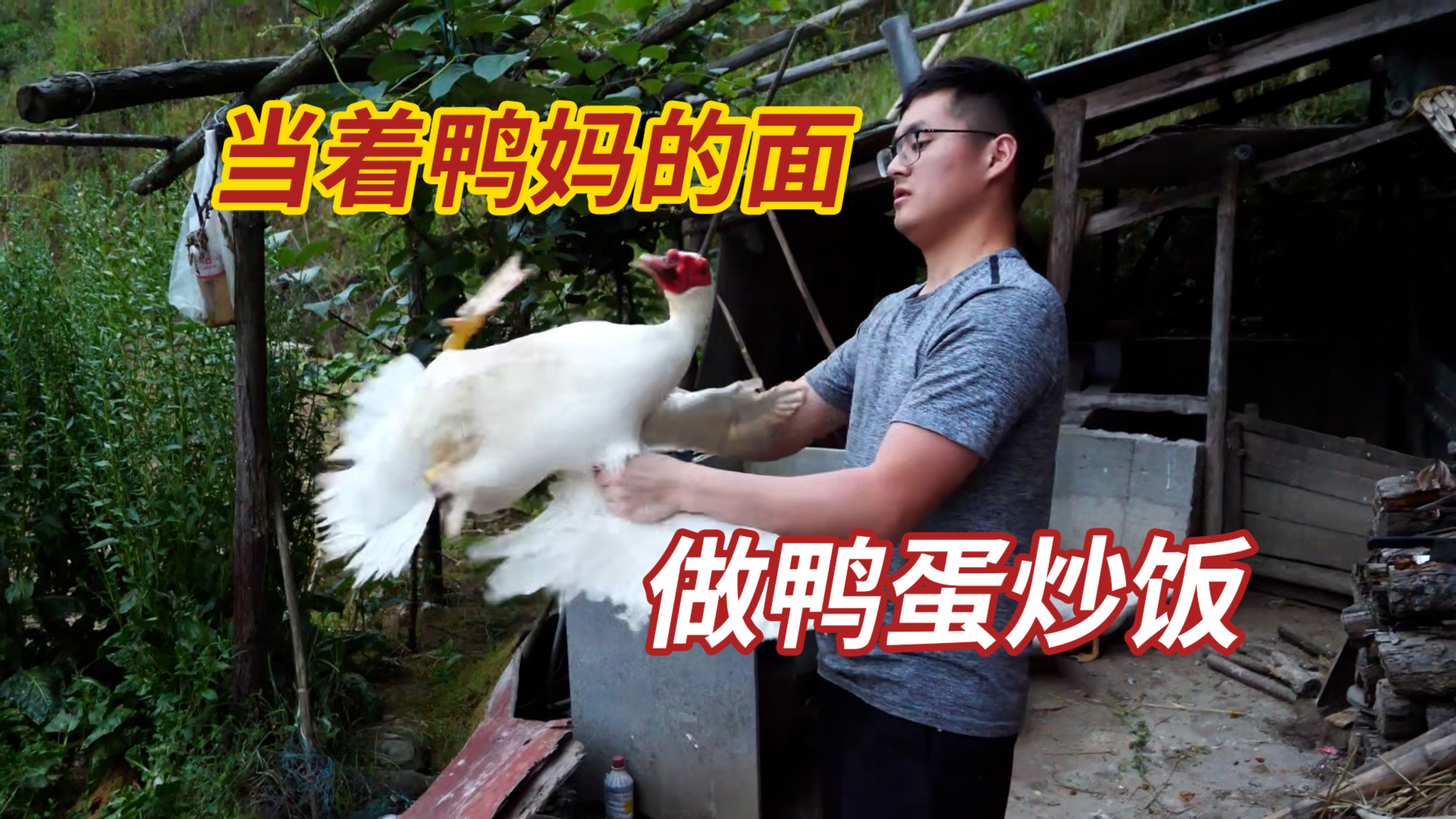 当着豚鸭的面,把它下的蛋给炒了
