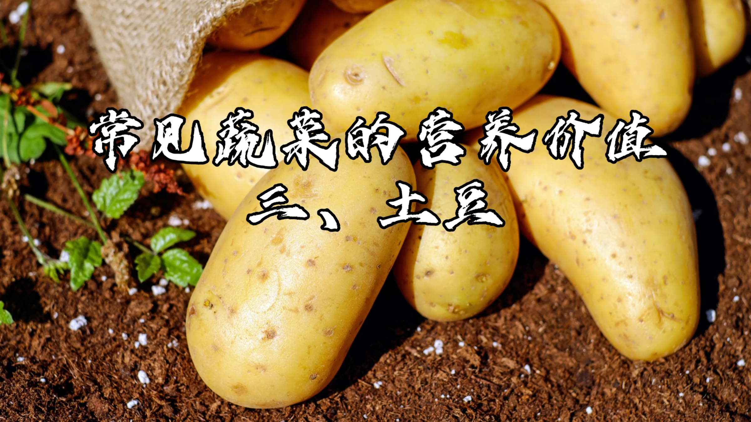 小厨学堂|常见蔬菜的营养价值——土豆