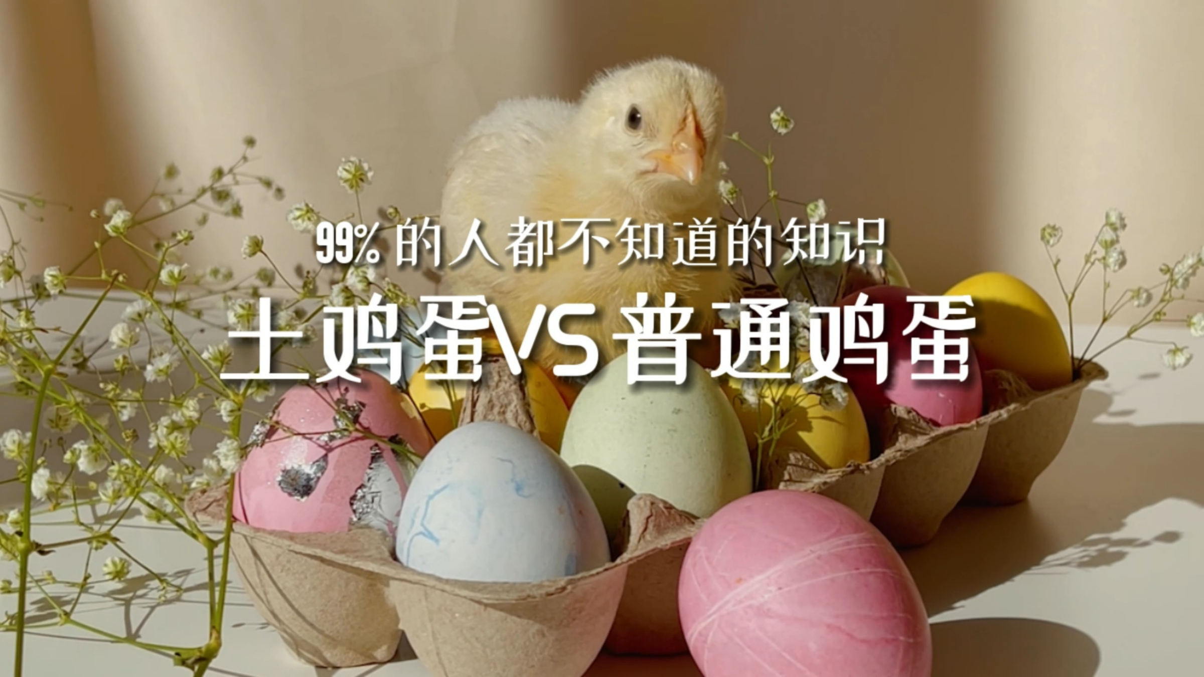 『知食就是力量』土鸡蛋和普通鸡蛋的区别