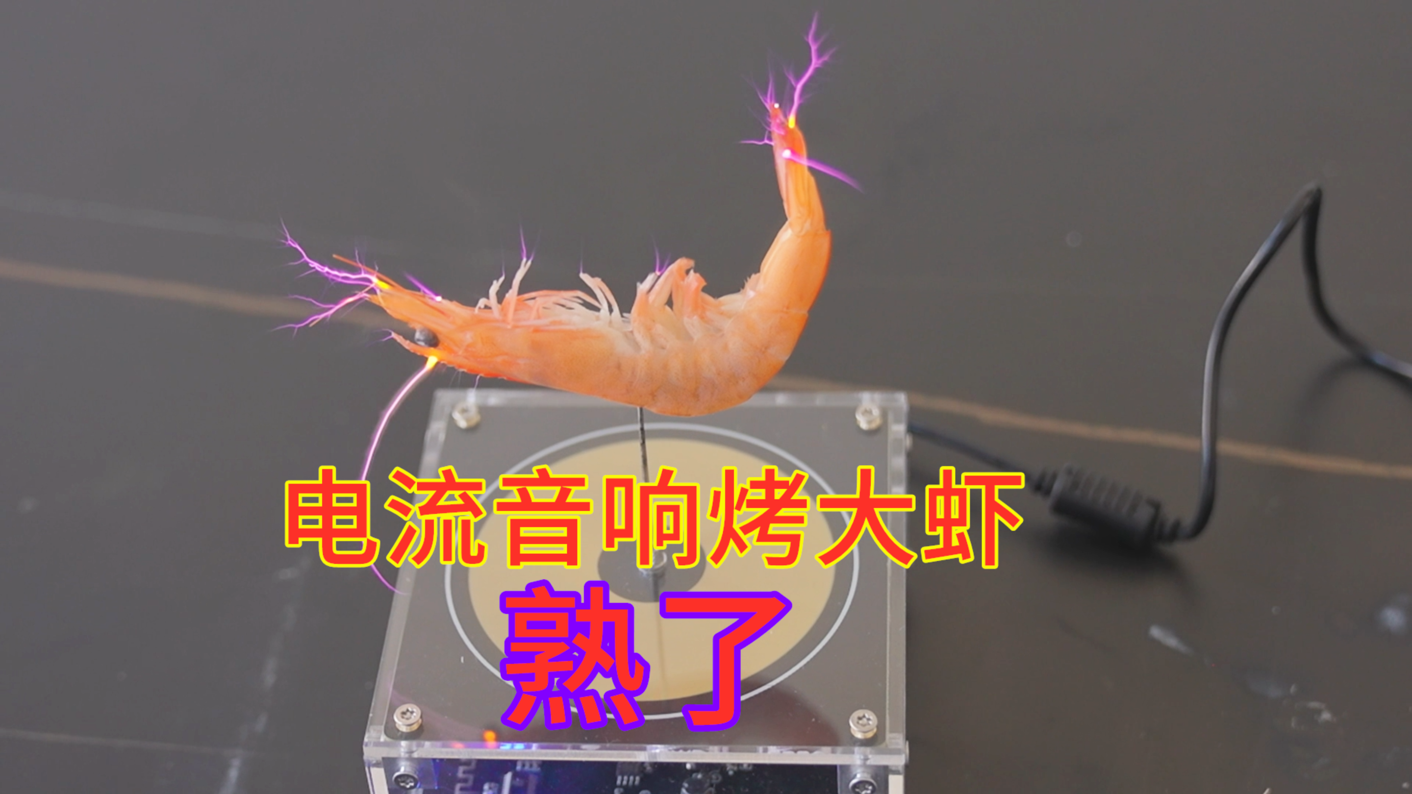 放电音响,烤大虾,竟然真的烤熟了