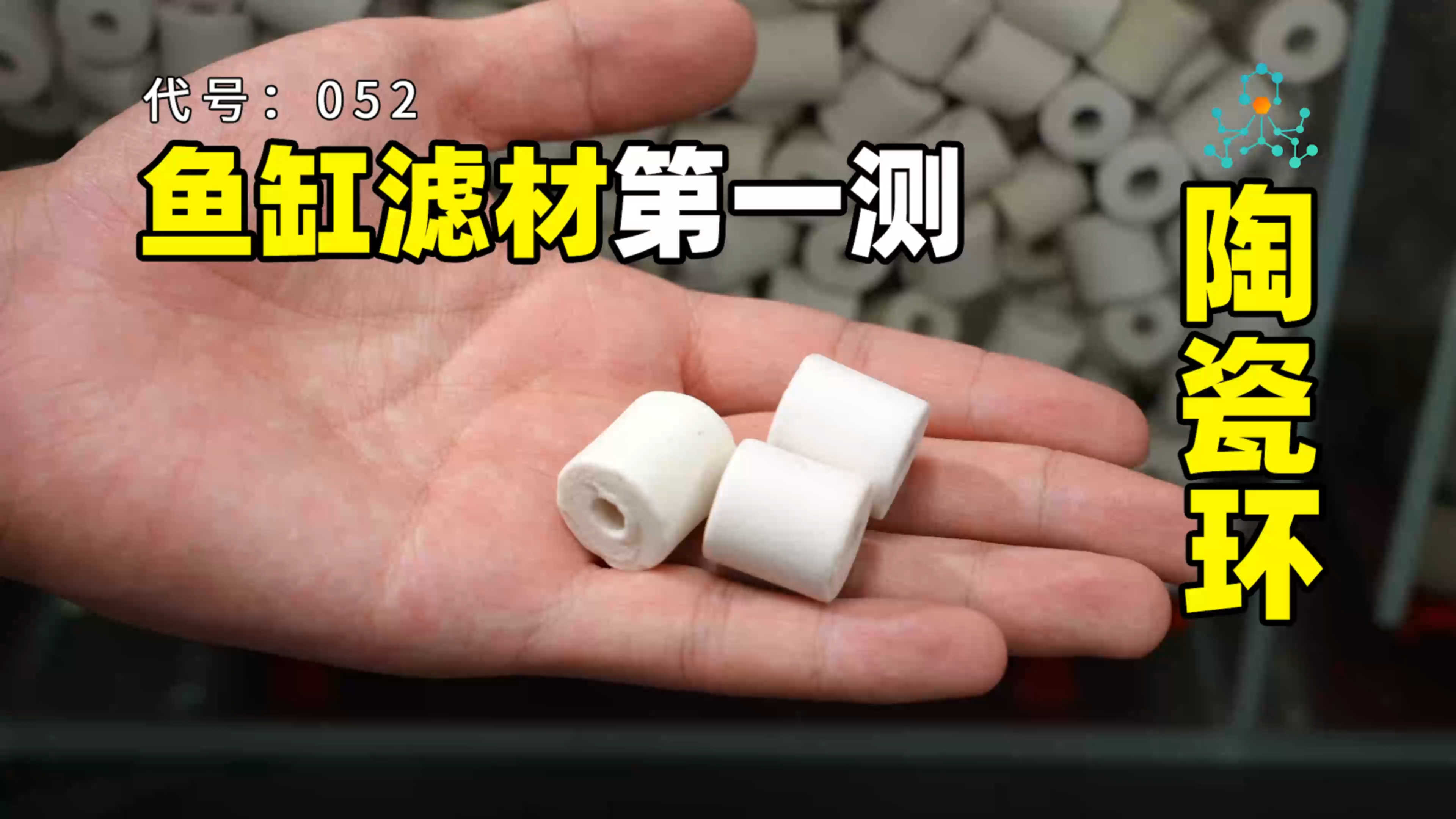滤材评测丨陶瓷环的培菌效果如何?值得买吗?