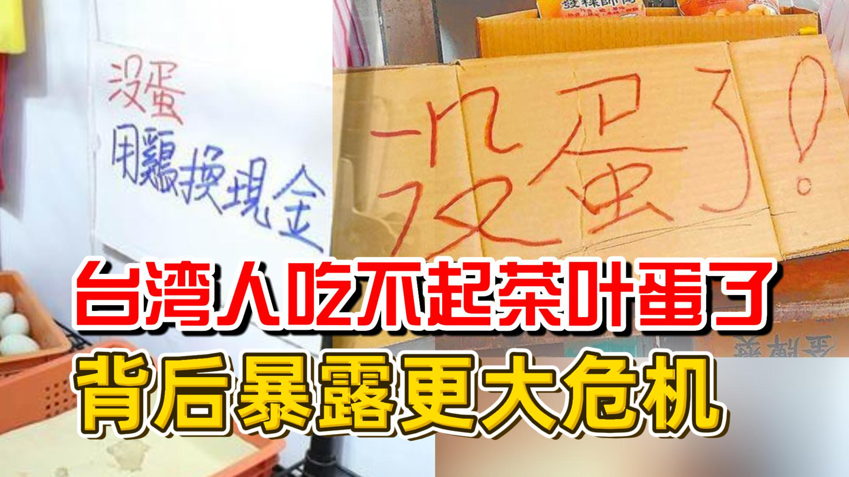 台湾深陷缺蛋荒!背后的原因不只是禽流感,暴露出更大危机?