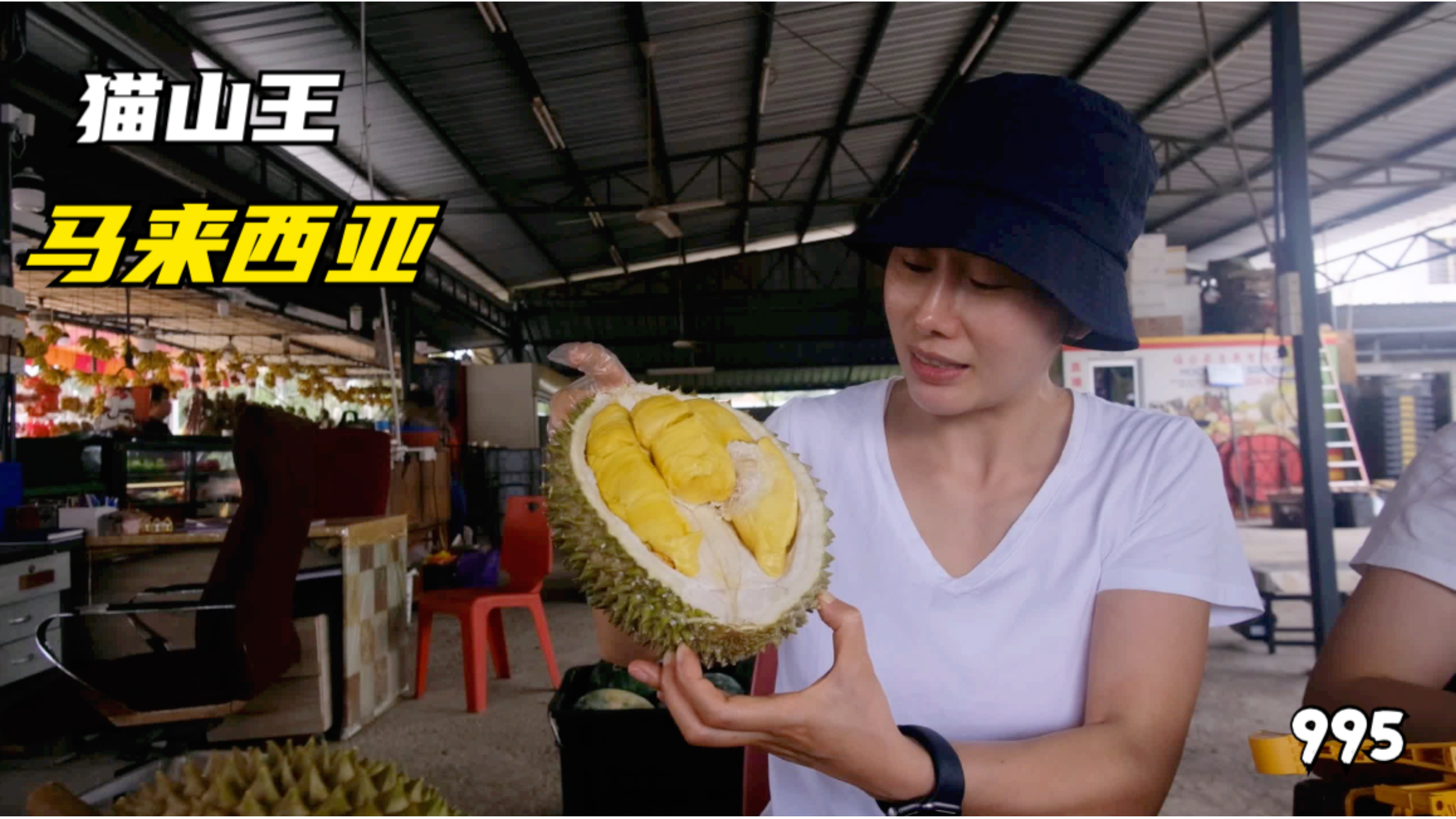 到马来西亚旅行,必须安排上猫山王榴莲,50多一公斤贵不贵?