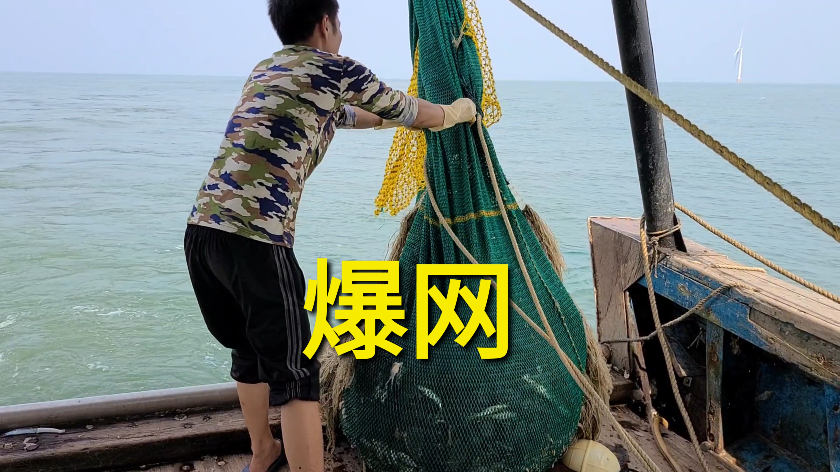 罗建英靓女包船捕鱼,起网后看到一大堆,爆网了