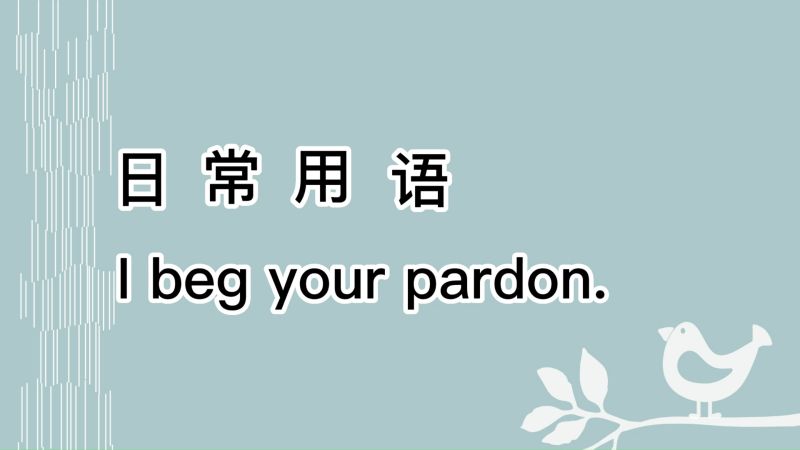 英语日常用语I beg your pardon的两个用法 教育 高等教育 好看视频