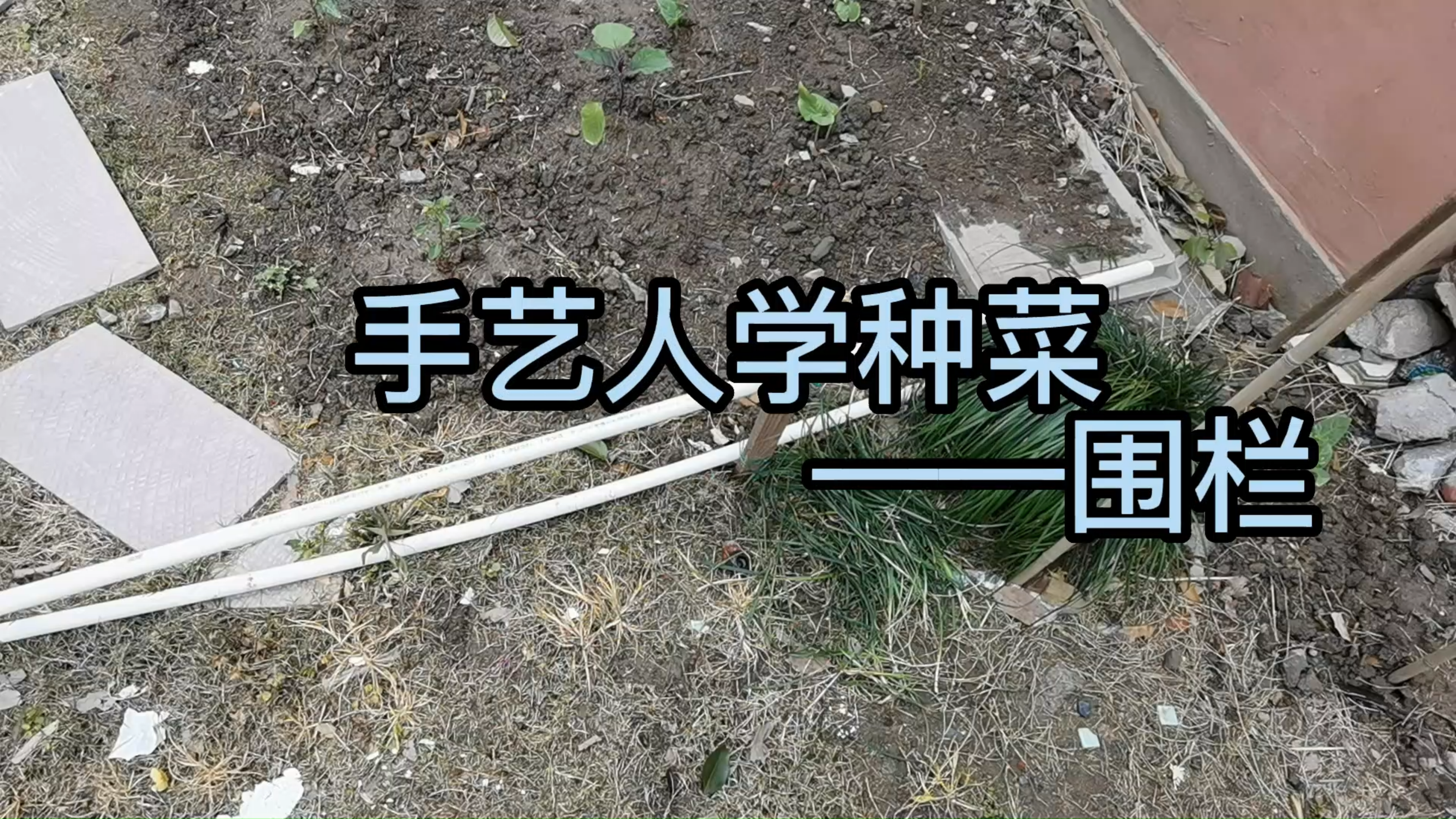 爱园艺的许三多-PVC水管做支架有点软,改造成小围栏还挺好看的