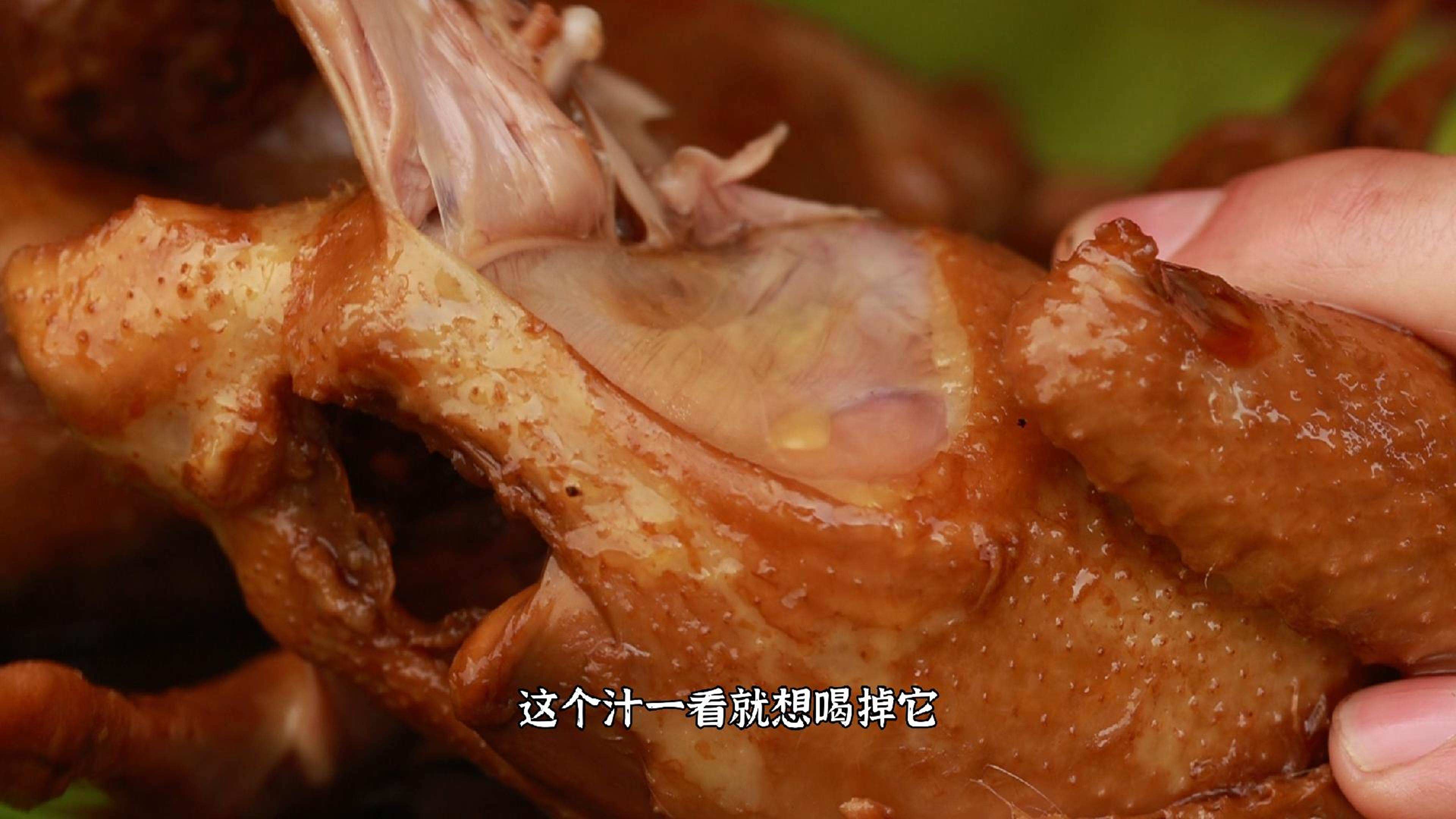 站在“食物链”顶端的广东人为了一只鸽子,竟如此之卷!