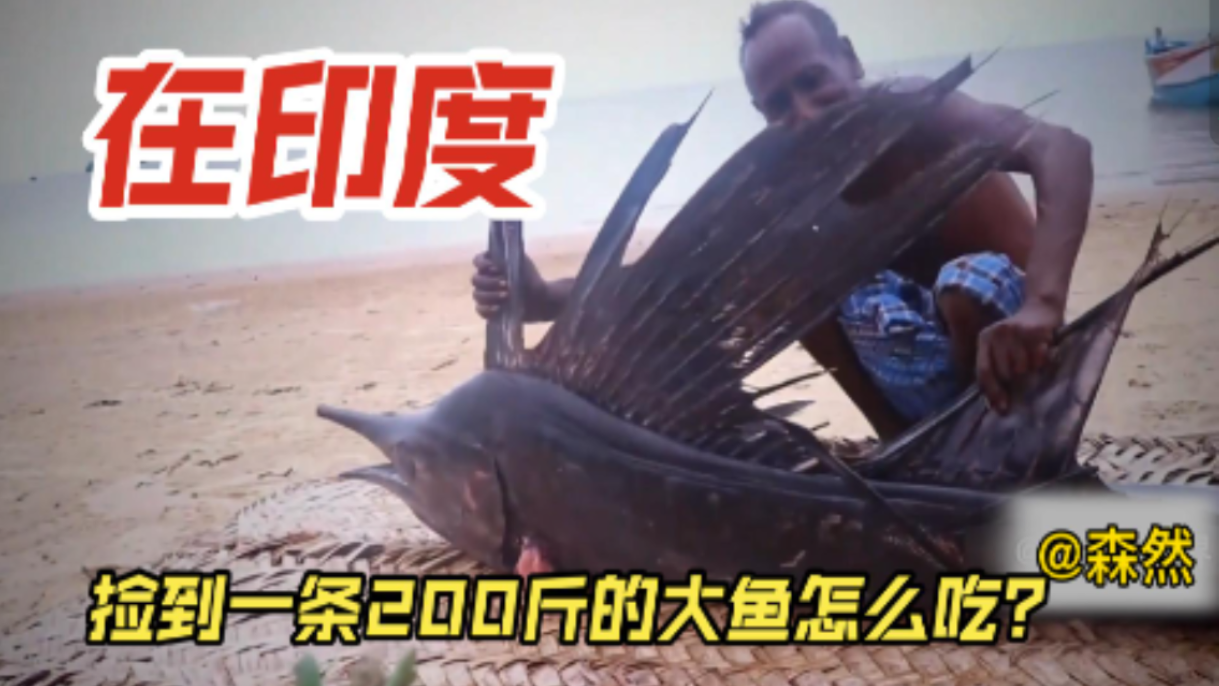 在印度捡到一条200斤的大鱼怎么吃?看完做法网友直呼:糟蹋了!