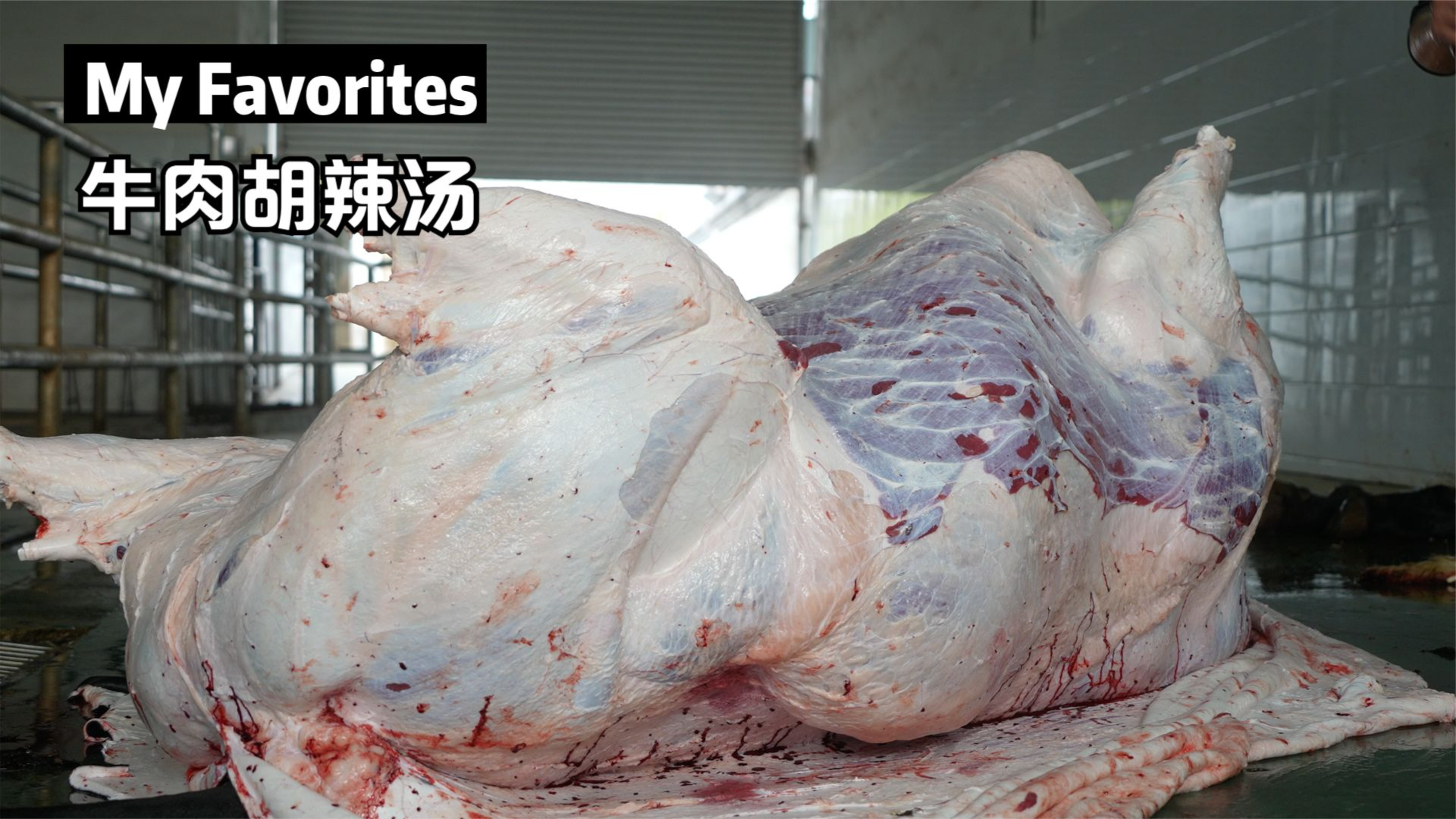 超硬核,每天一头牛,制作美味的牛肉胡辣汤,牛的分割,美味早餐