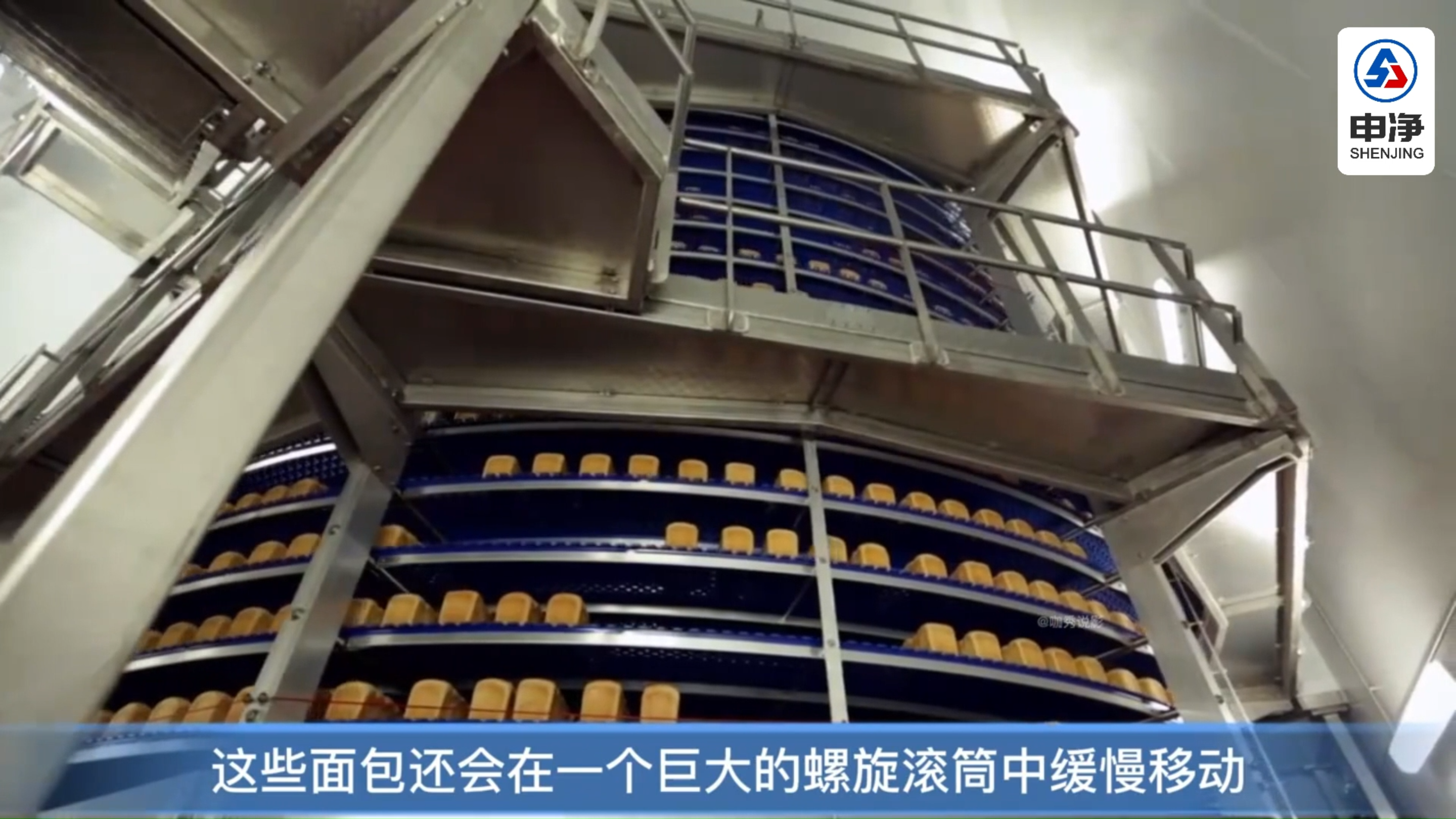 蛋糕面包生产工艺每周可生产500多万个-安徽申净建设工程有限公司