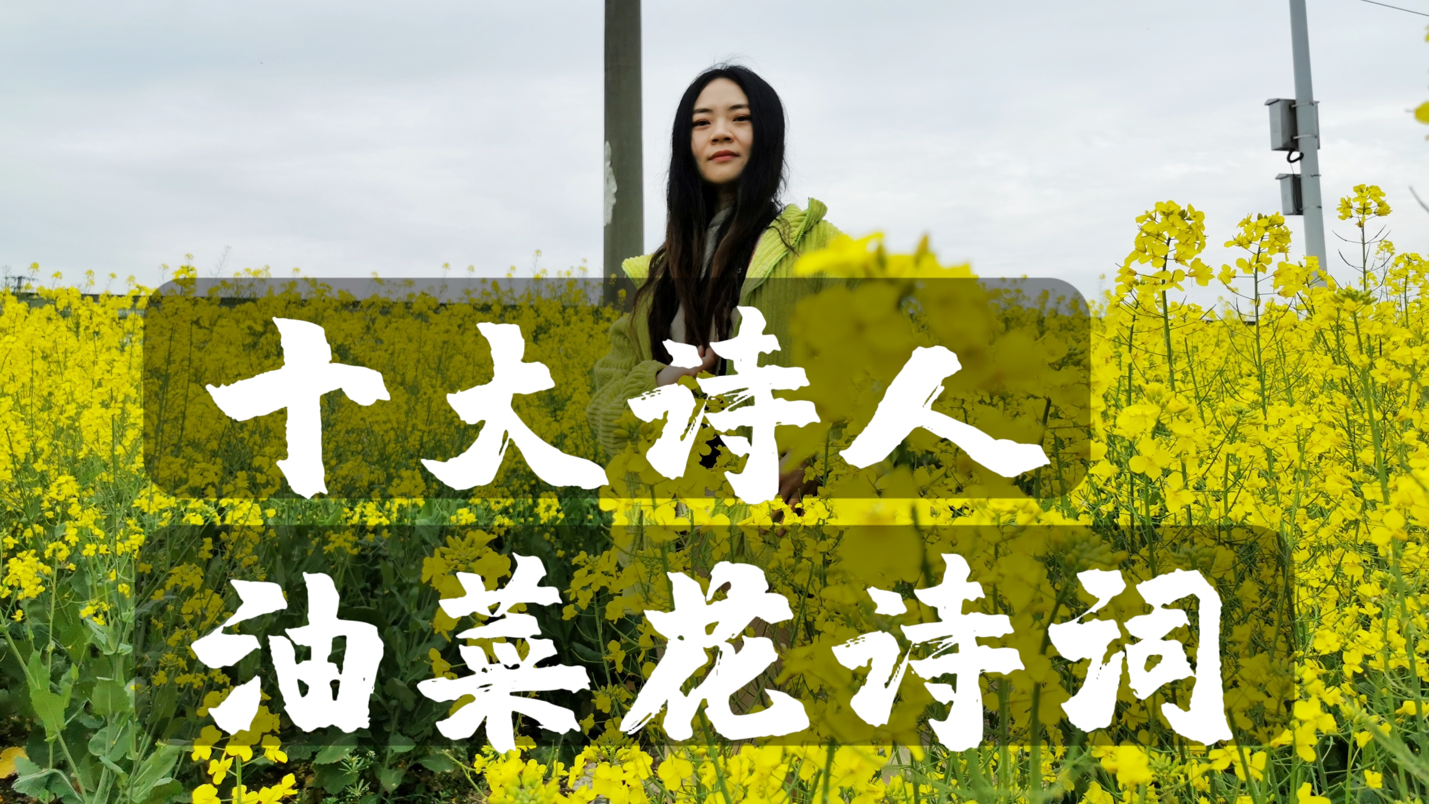 温庭筠、秦观、杨万里十大诗人,描写油菜花的诗句,带你踏春赏花