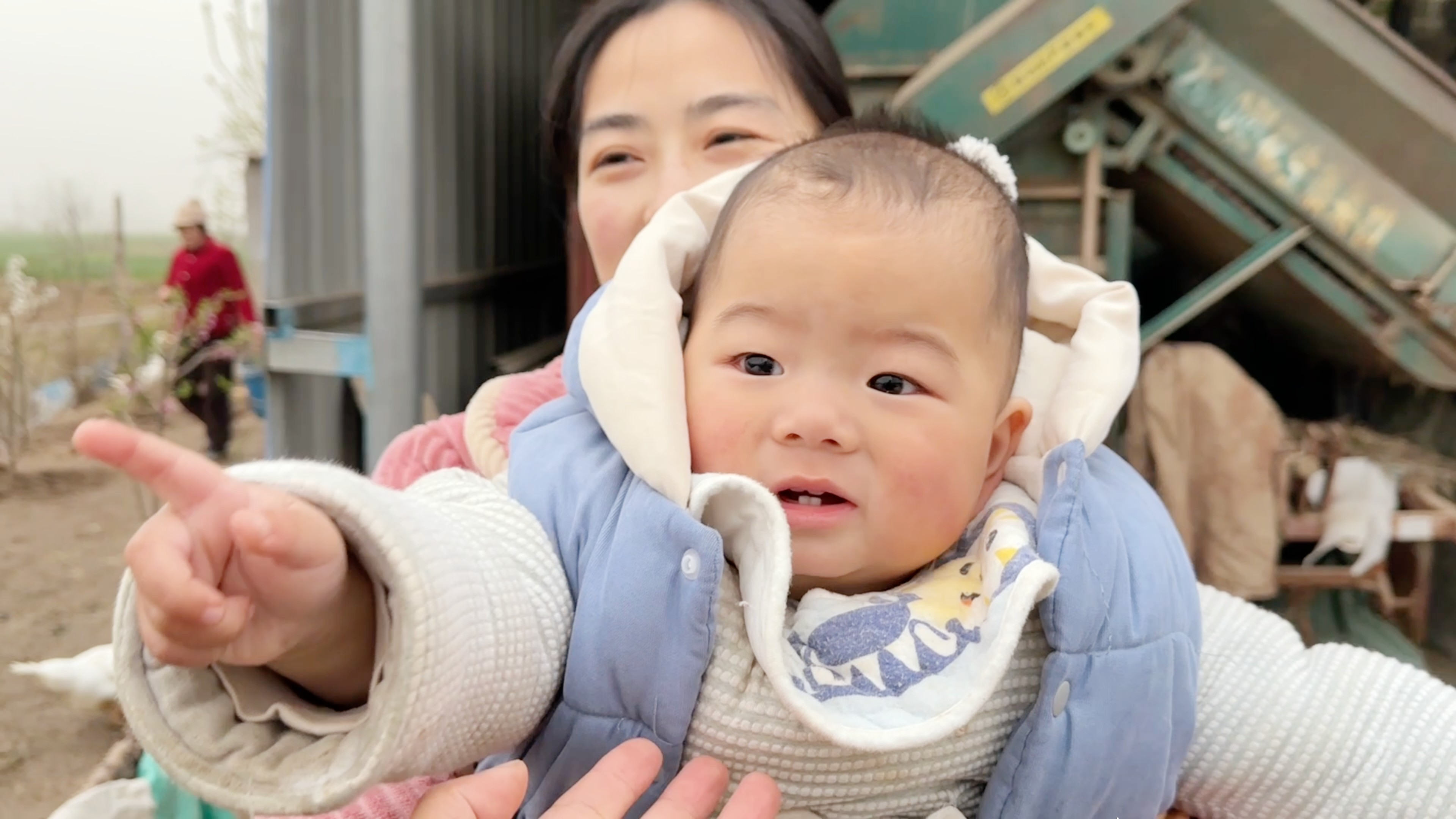 静静找到鸡下蛋的方法,黑糖生姜给鸡熬水喝,小忆:鸡也得过月子