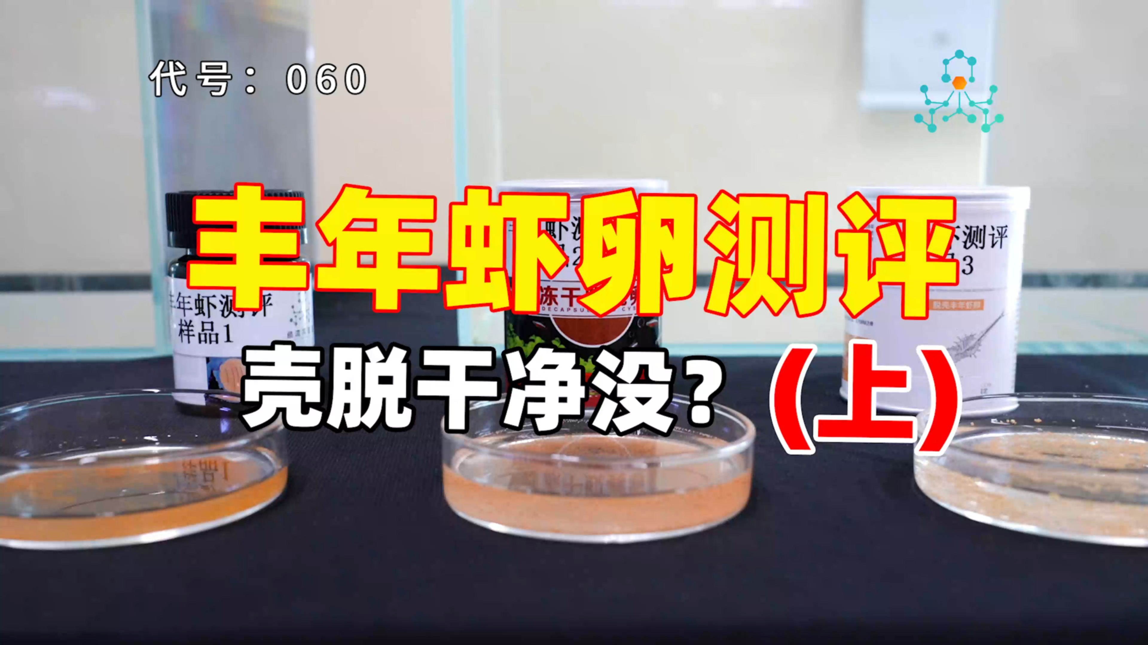 教会鱼友给丰年虾卵脱壳,鱼苗虾苗开口就爱这口