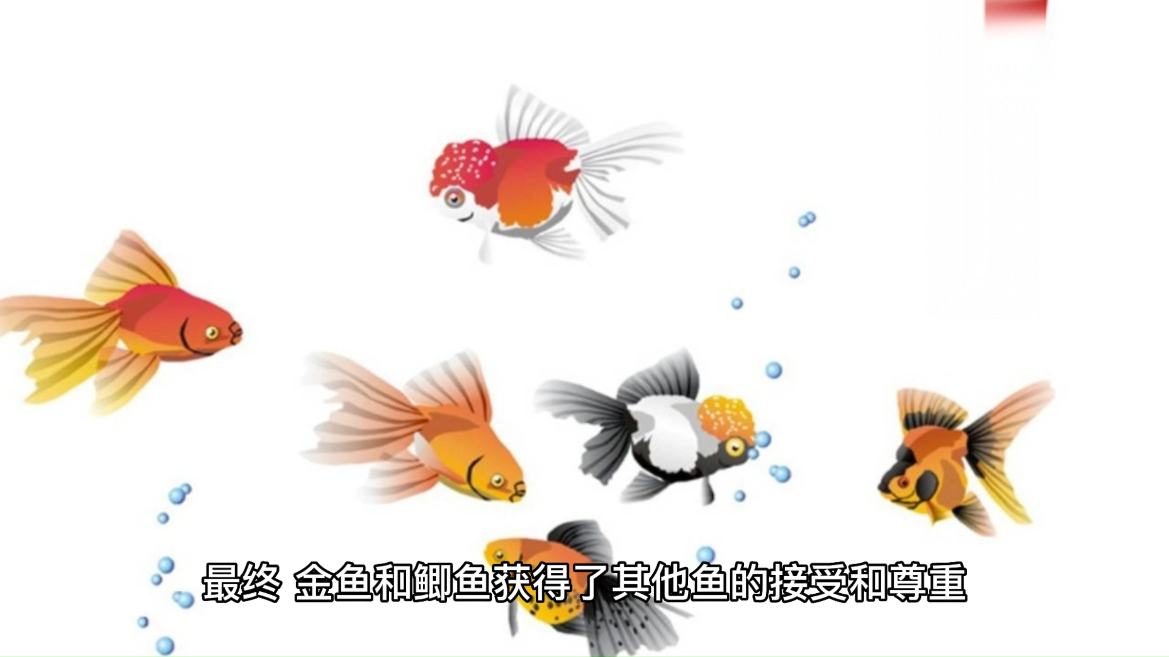 《小鱼的自由》-原创寓言故事