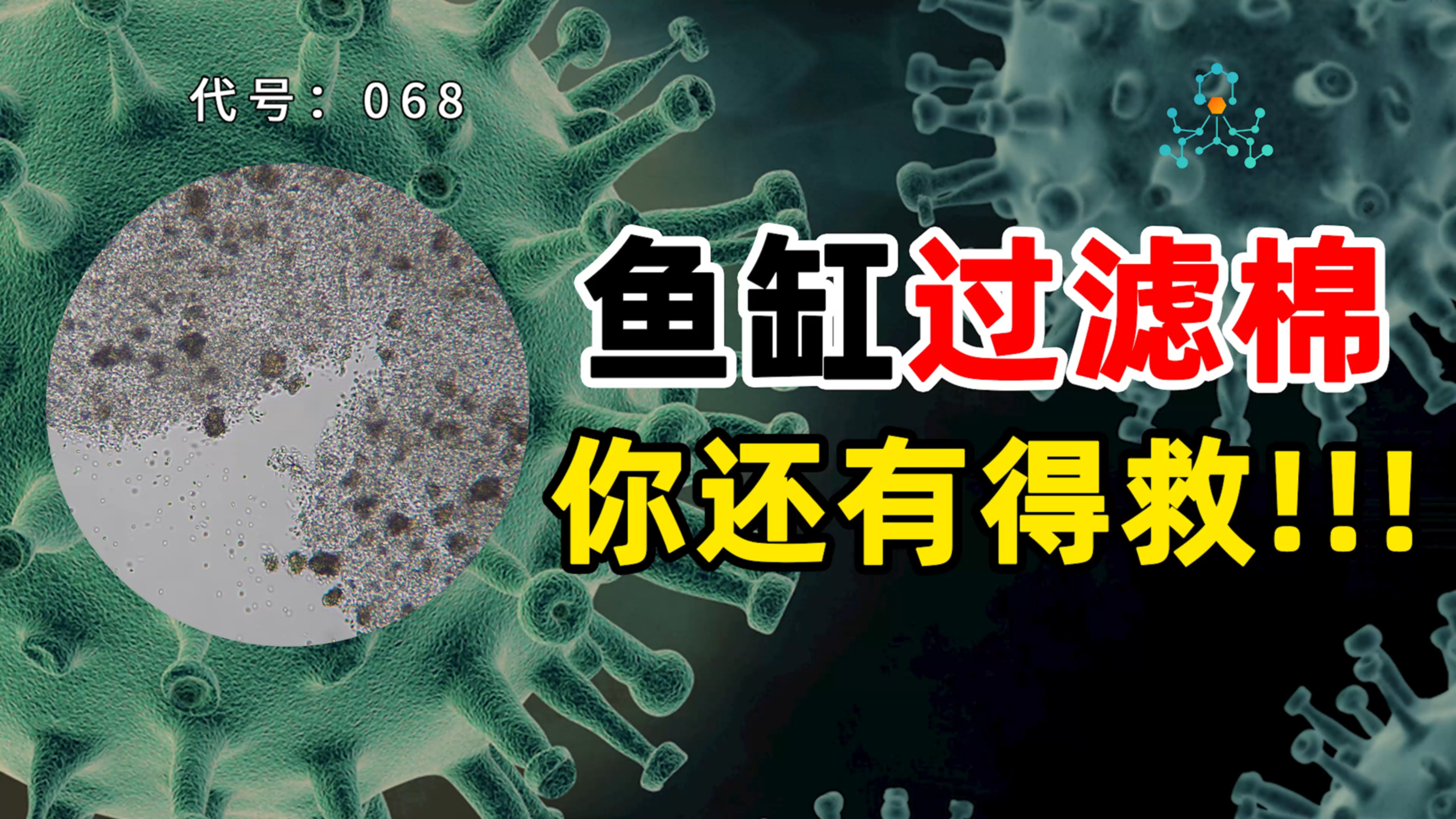 鱼缸过滤棉,水清鱼靓的秘诀