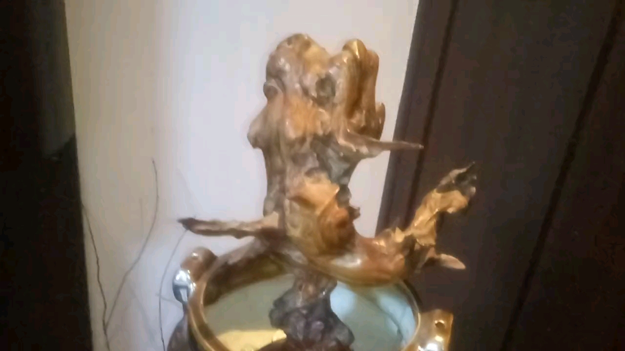 亳州风情:弘扬根艺文化《龙鱼跳龙门》纯天然黄杨根形