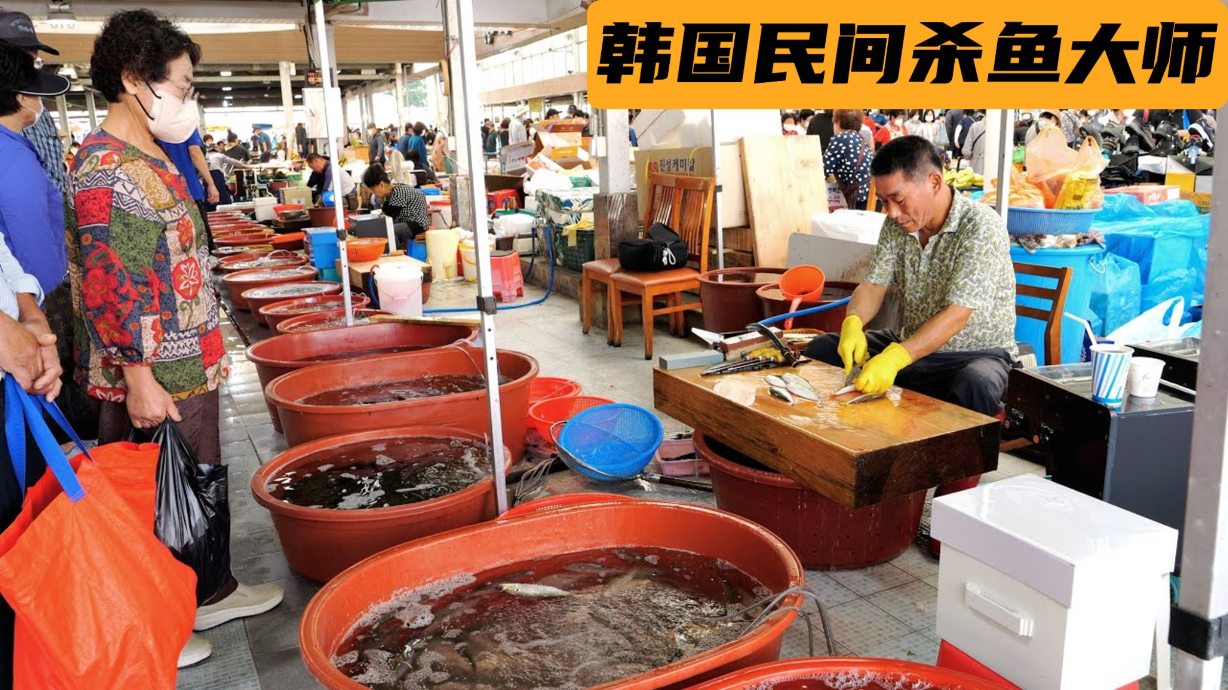 韩国民间杀鱼高手,刀速快到看不清,常常遭人围观