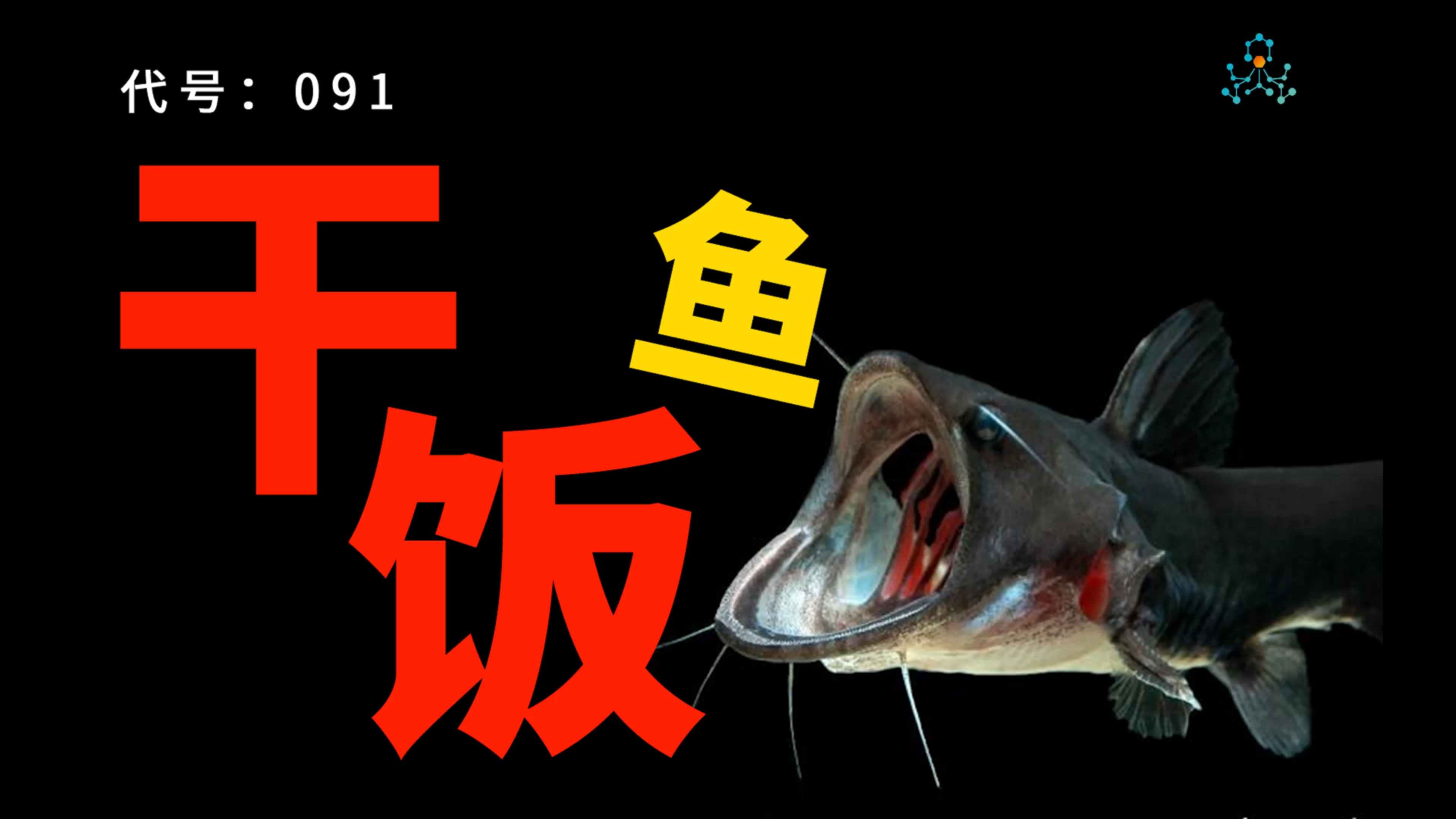 鱼粮选哪个不重要,教会鱼友怎么选最重要~!