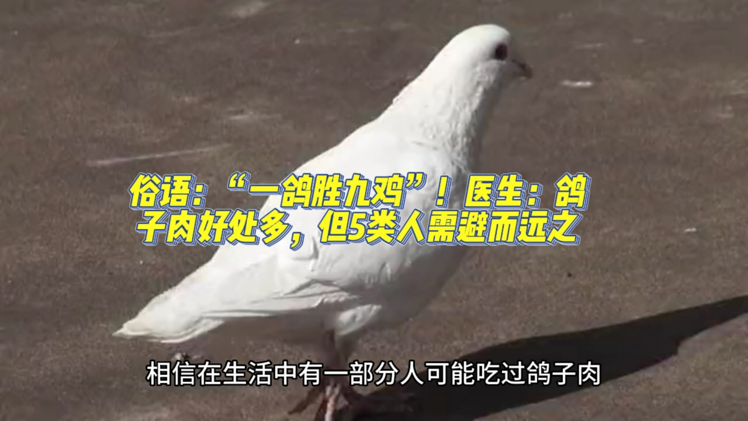俗语:“一鸽胜九鸡”!医生:鸽子肉好处多,但5类人需避而远之