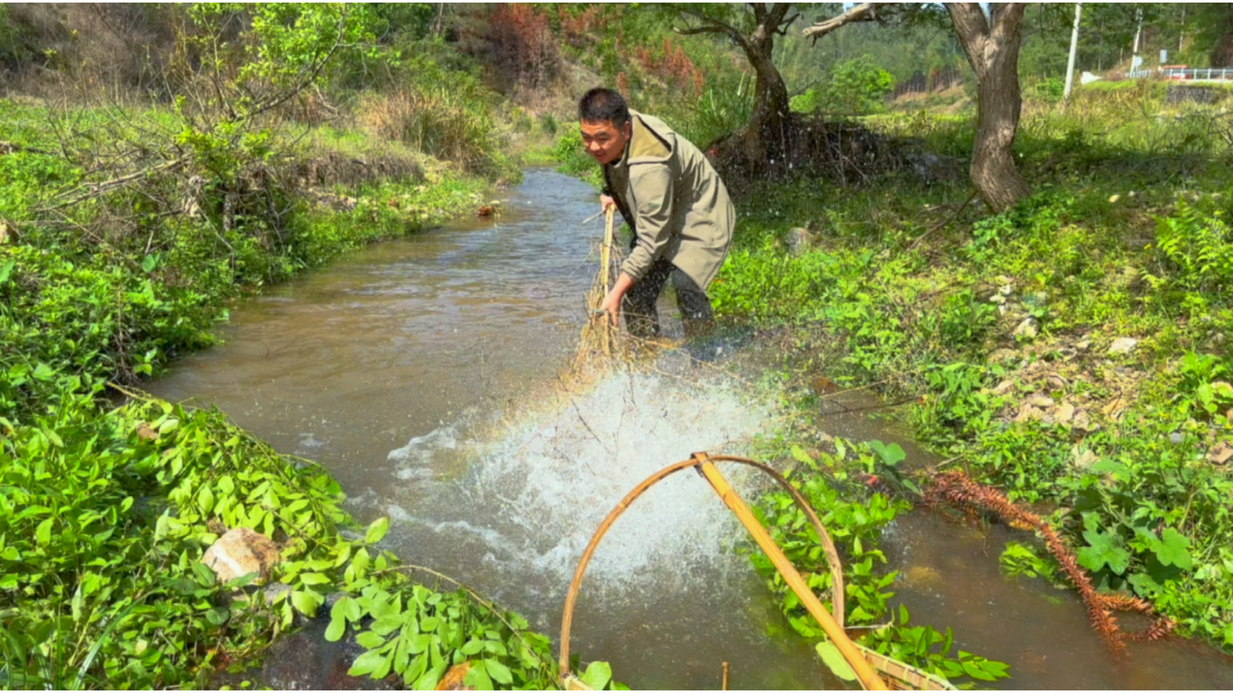 今天来小溪里捉鱼，收获很多小虾米，非常的美味