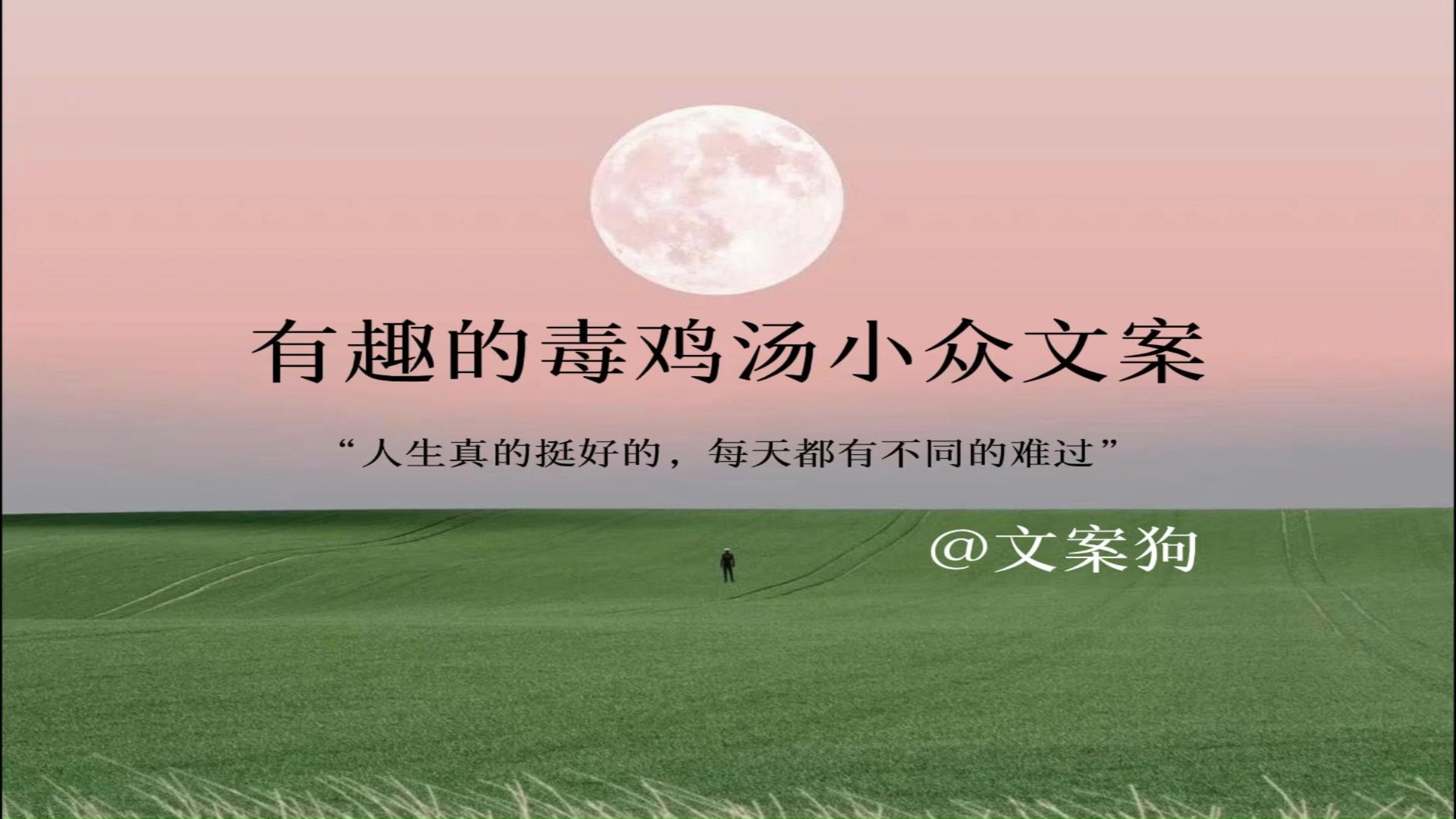 超有趣的毒鸡汤文案,干了这杯毒鸡汤!