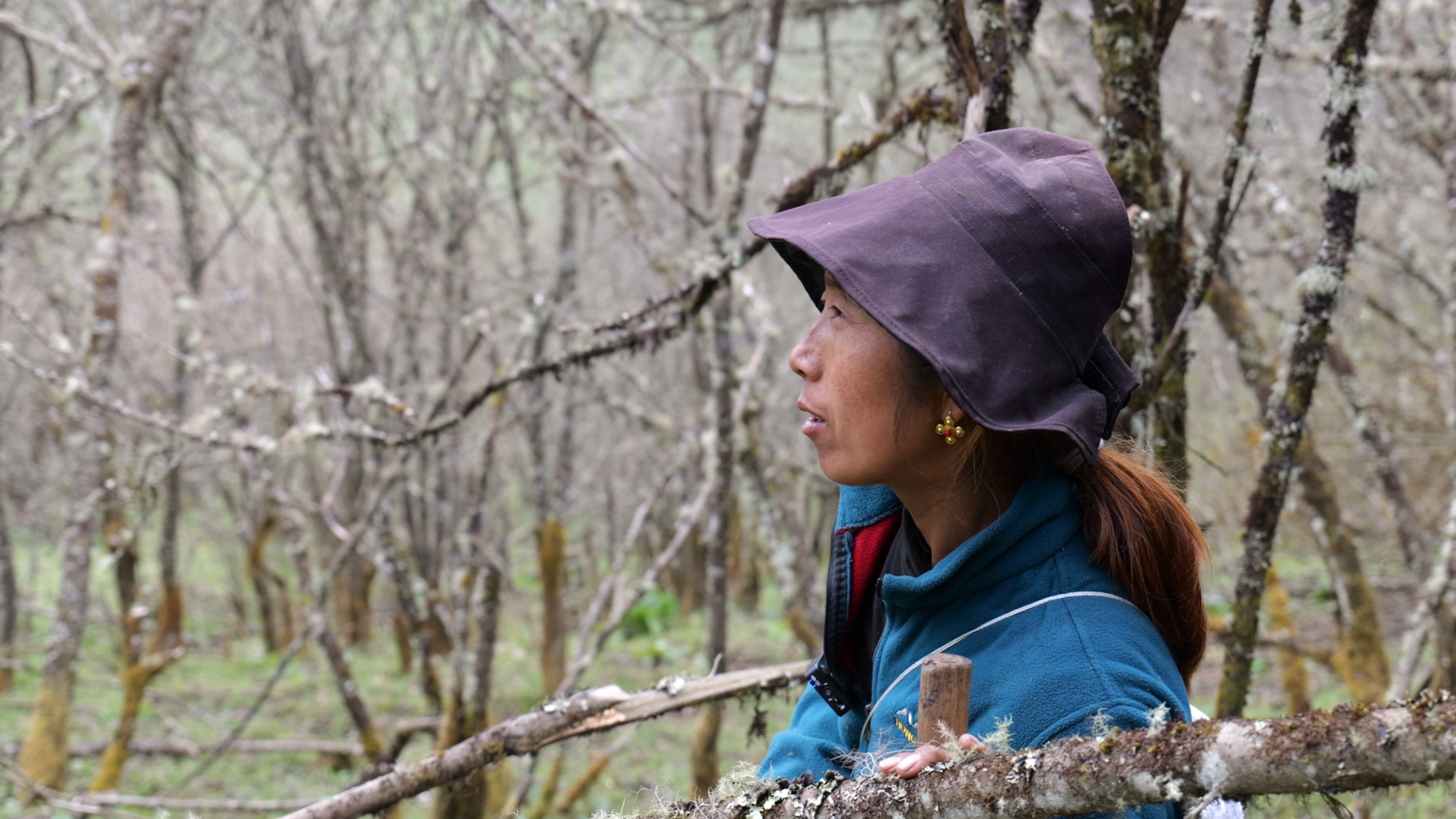 四川凉山甘洛县,32岁妻子深山采彝族美食玛玛菜,只为撑起一个家