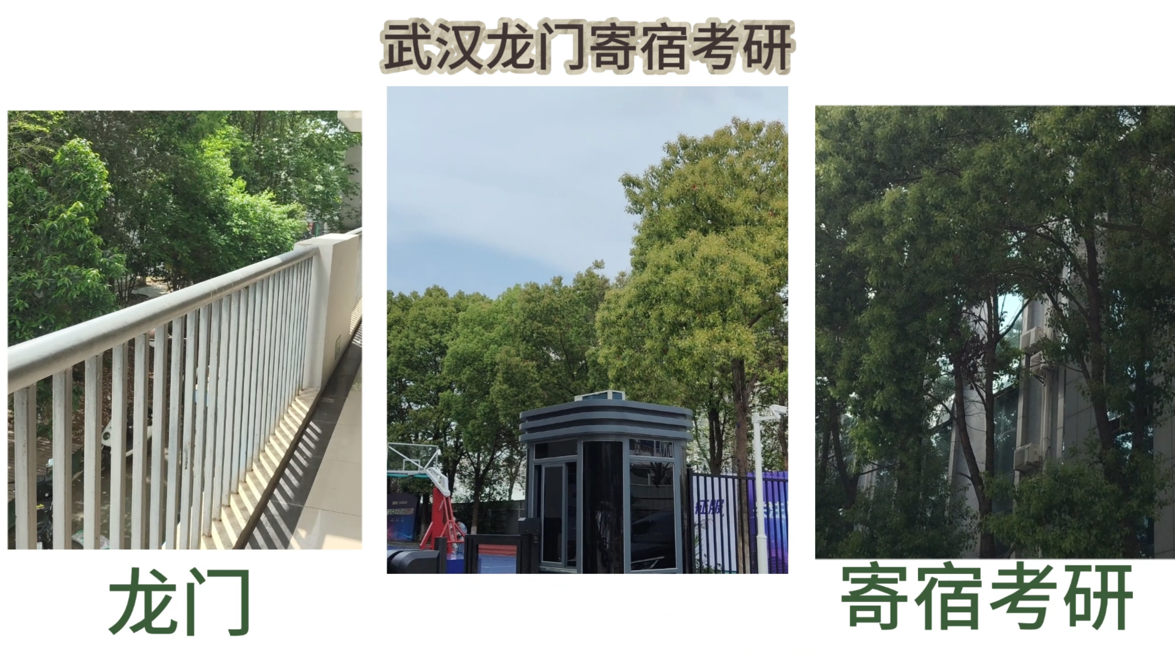 全武汉最好的寄宿考研学校是什么样子