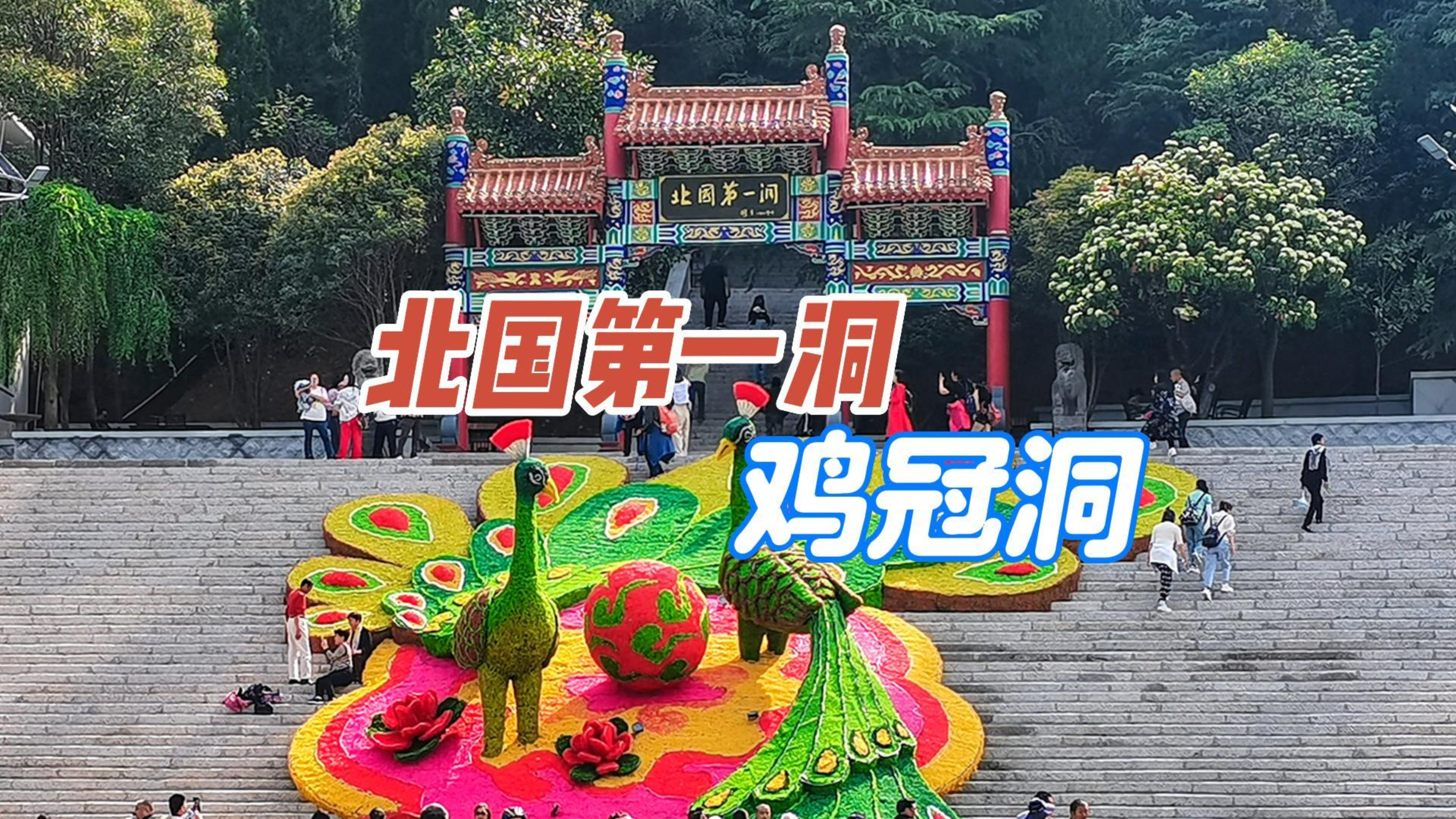 洛阳栾川鸡冠洞_北国第一洞