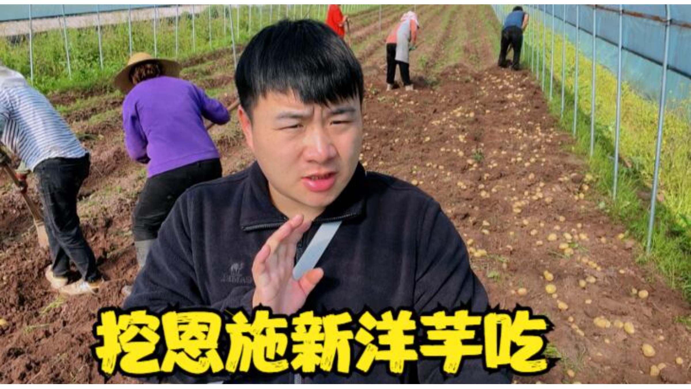 和朋友挖恩施新洋芋!小姐姐杀1只土鸡炖土豆吃,人间美味啊!