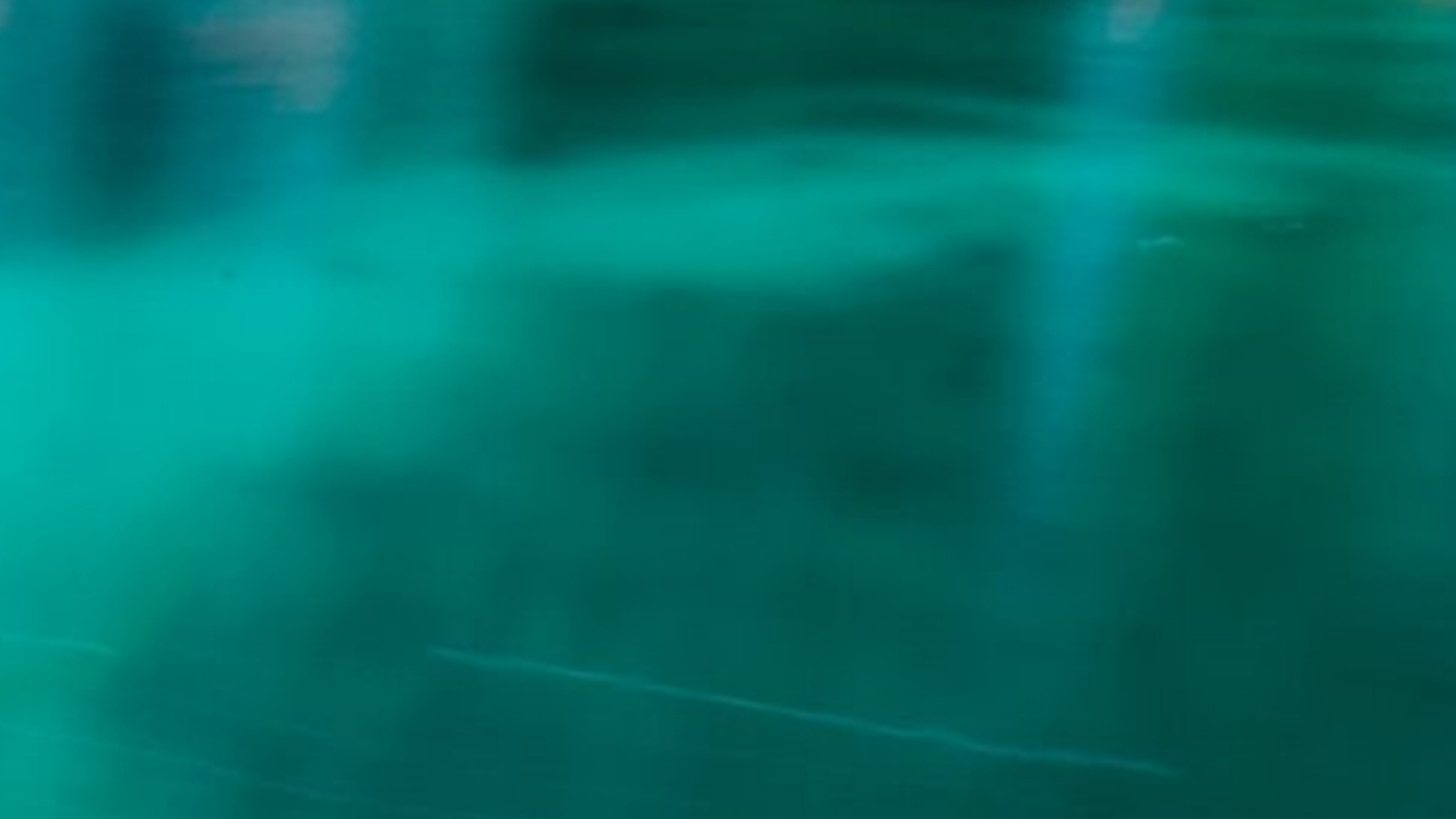 川香鸡柳川香鸡柳