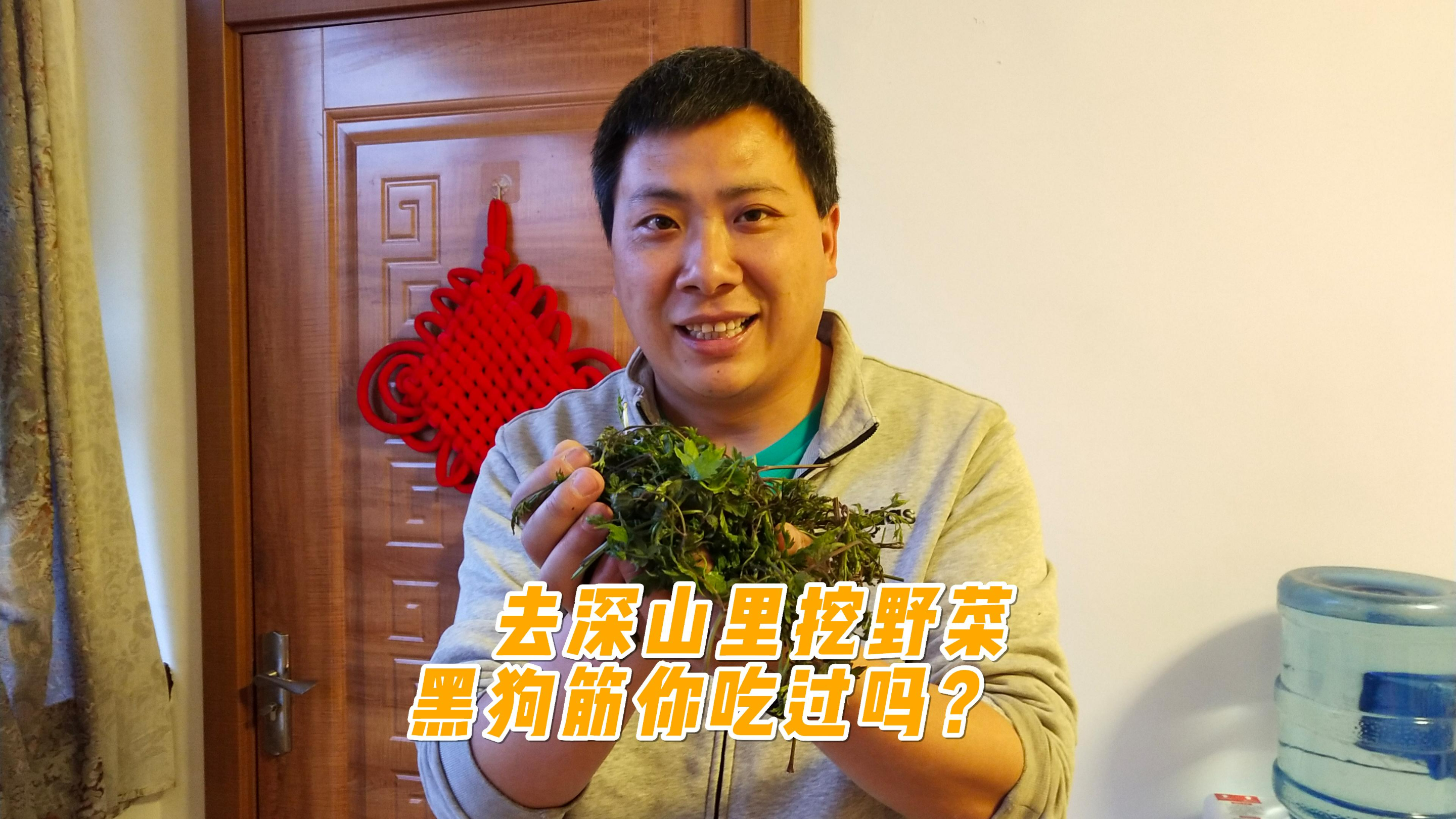 五一去深山挖野菜,偶遇超多精致民宿,这就是田园生活