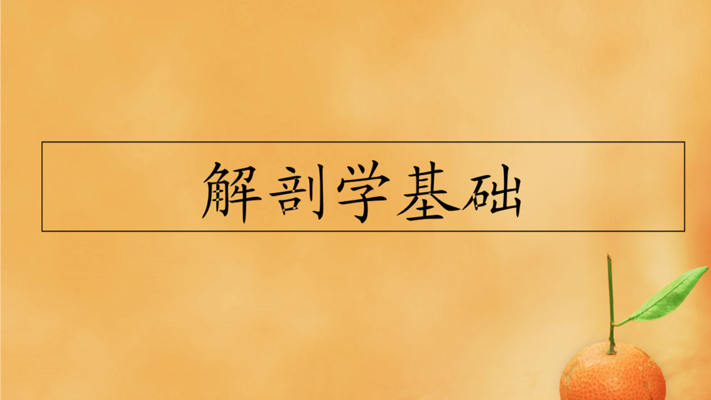 解剖学精讲之【第07课】解剖学 运动系统 第三节 肌学1