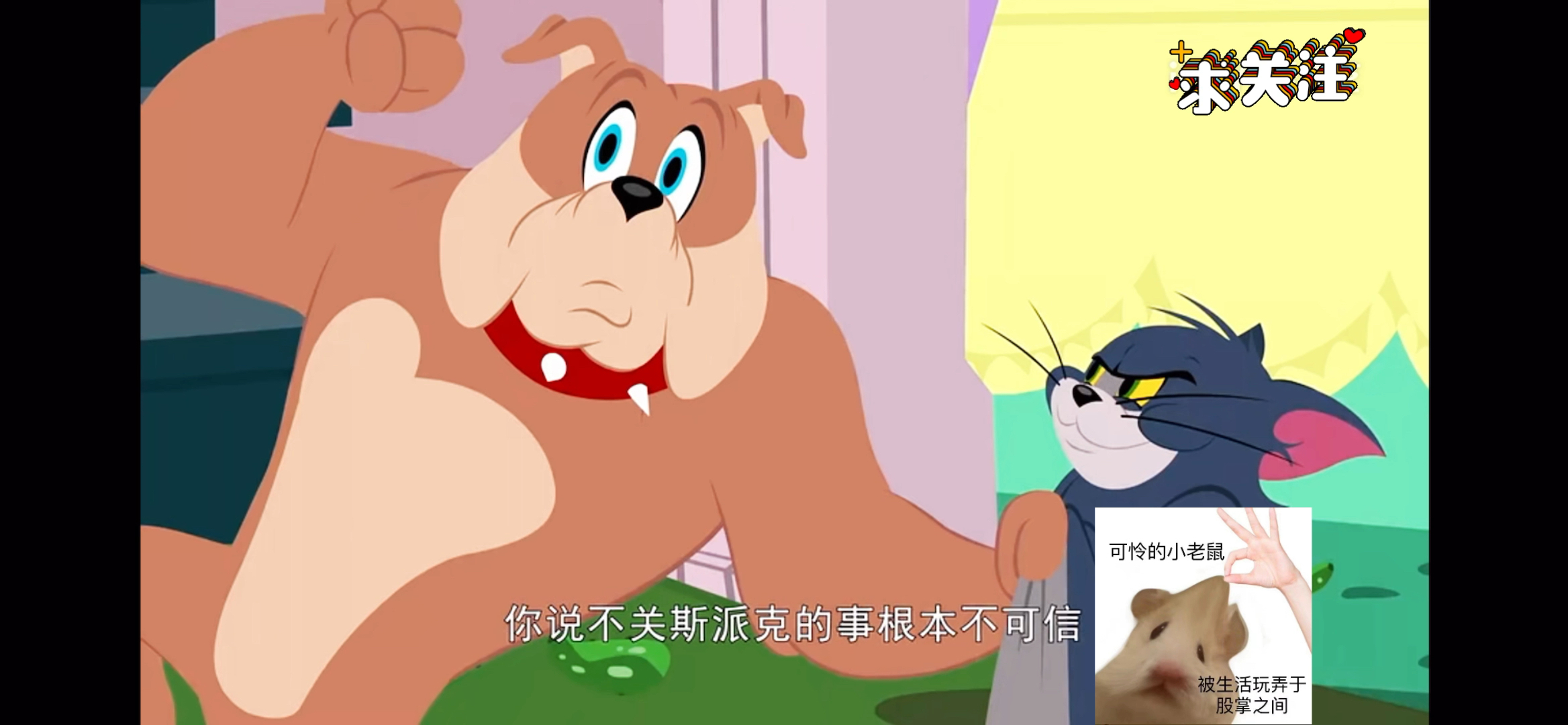 猫和老鼠:老狗和老猫斗心眼不料最后技不如猫,被迫赶出家门