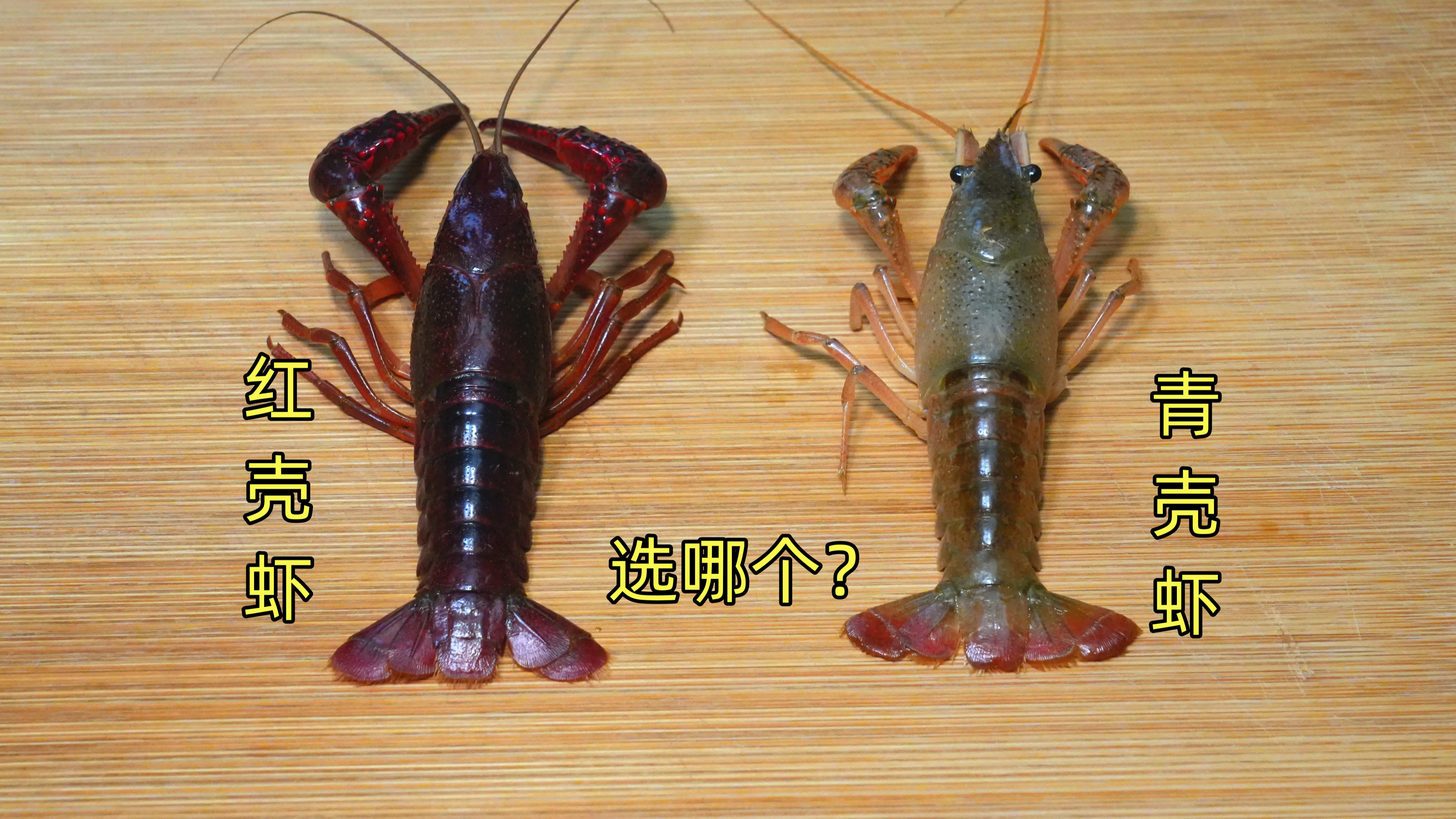 买小龙虾时，到底选青壳还是红壳？原来差别这么大，看完别再买错