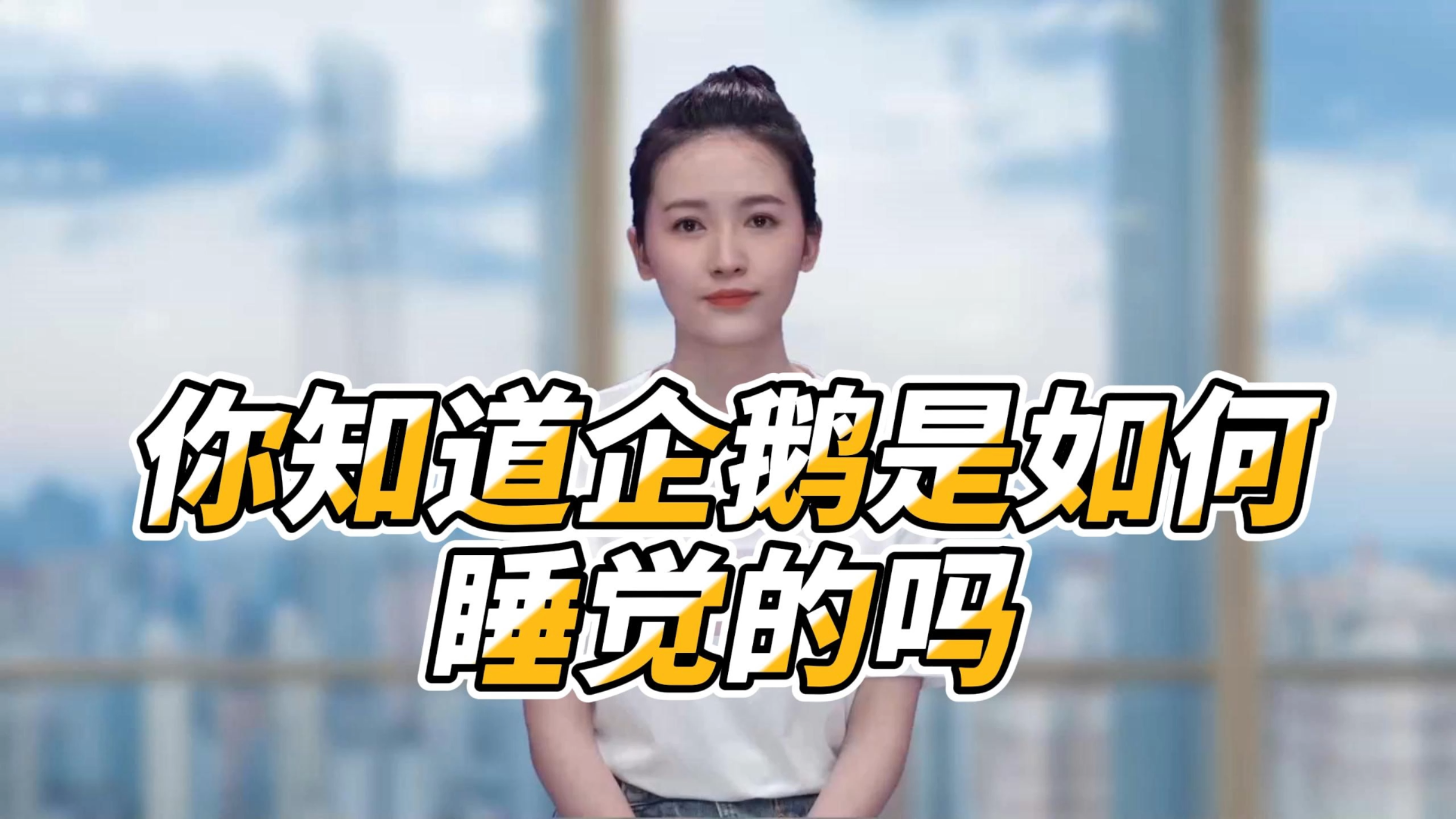 你知道企鹅是如何睡觉的吗