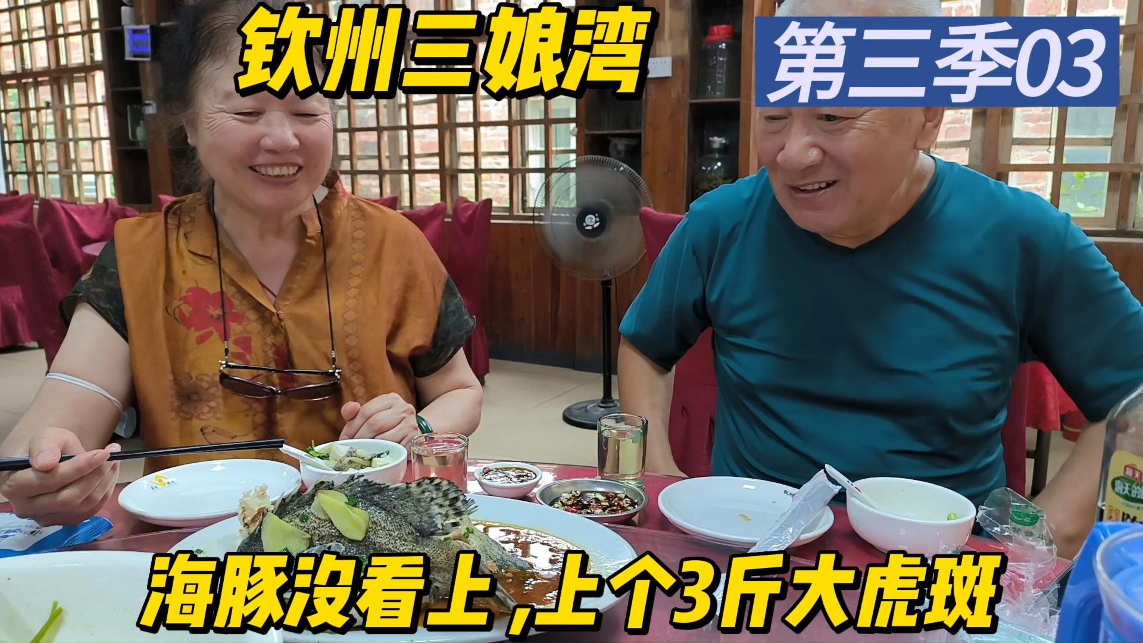 广西钦州三娘湾看海豚,看到大海瞬间胆怯,吃个3斤大虎斑压压惊