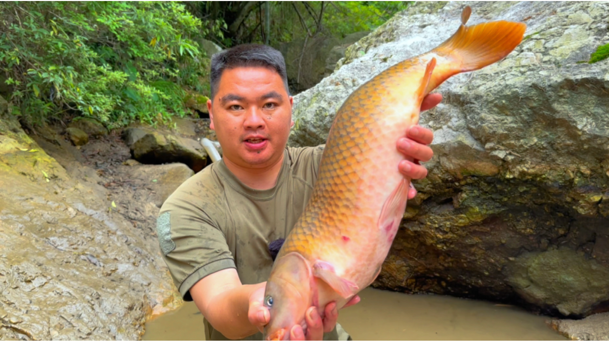 洪水过后在废弃的小水塘抽水捉鱼，捉到一条大鲤鱼
