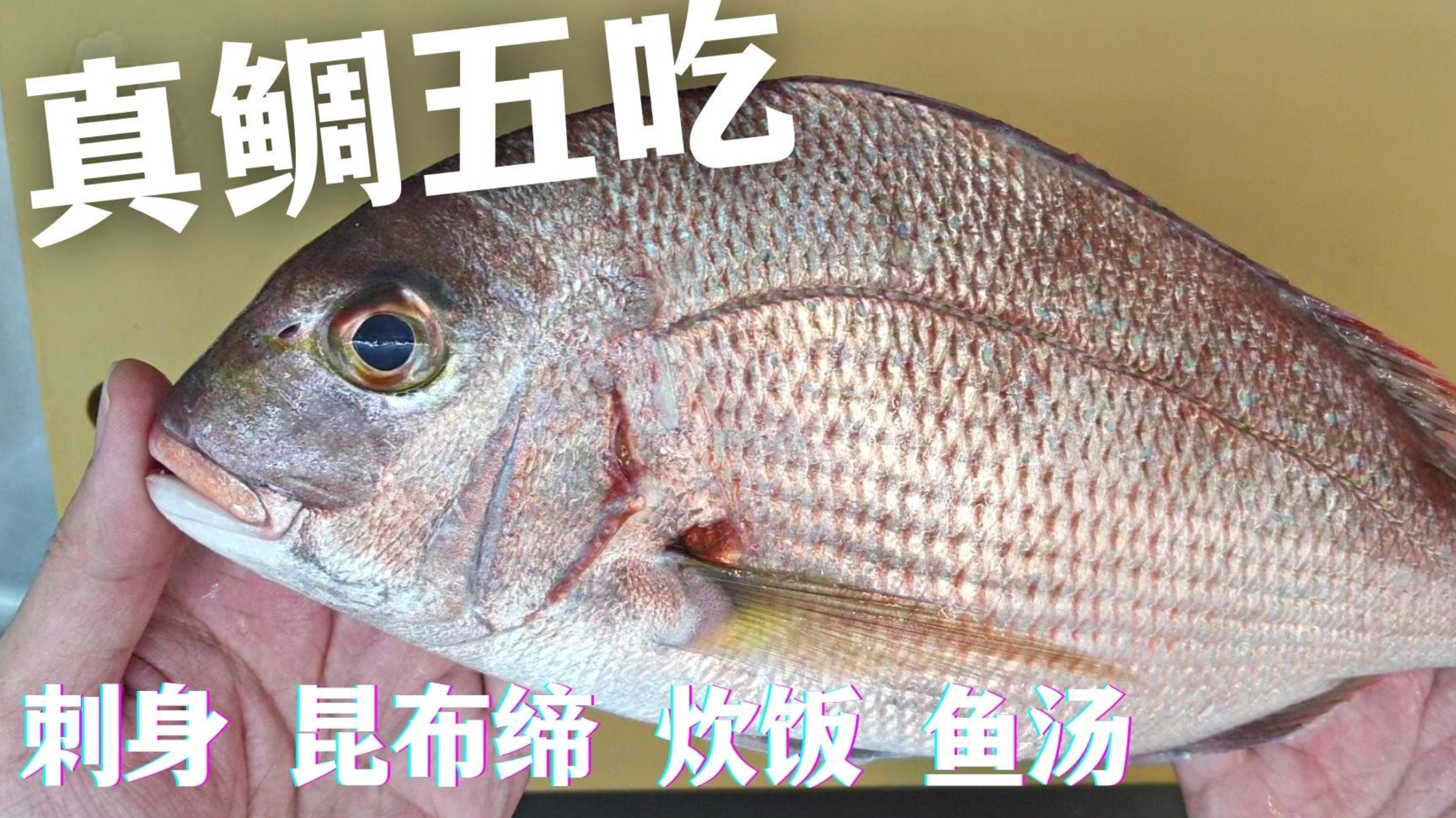 鲷鱼的不同吃法,各种海鲜大会