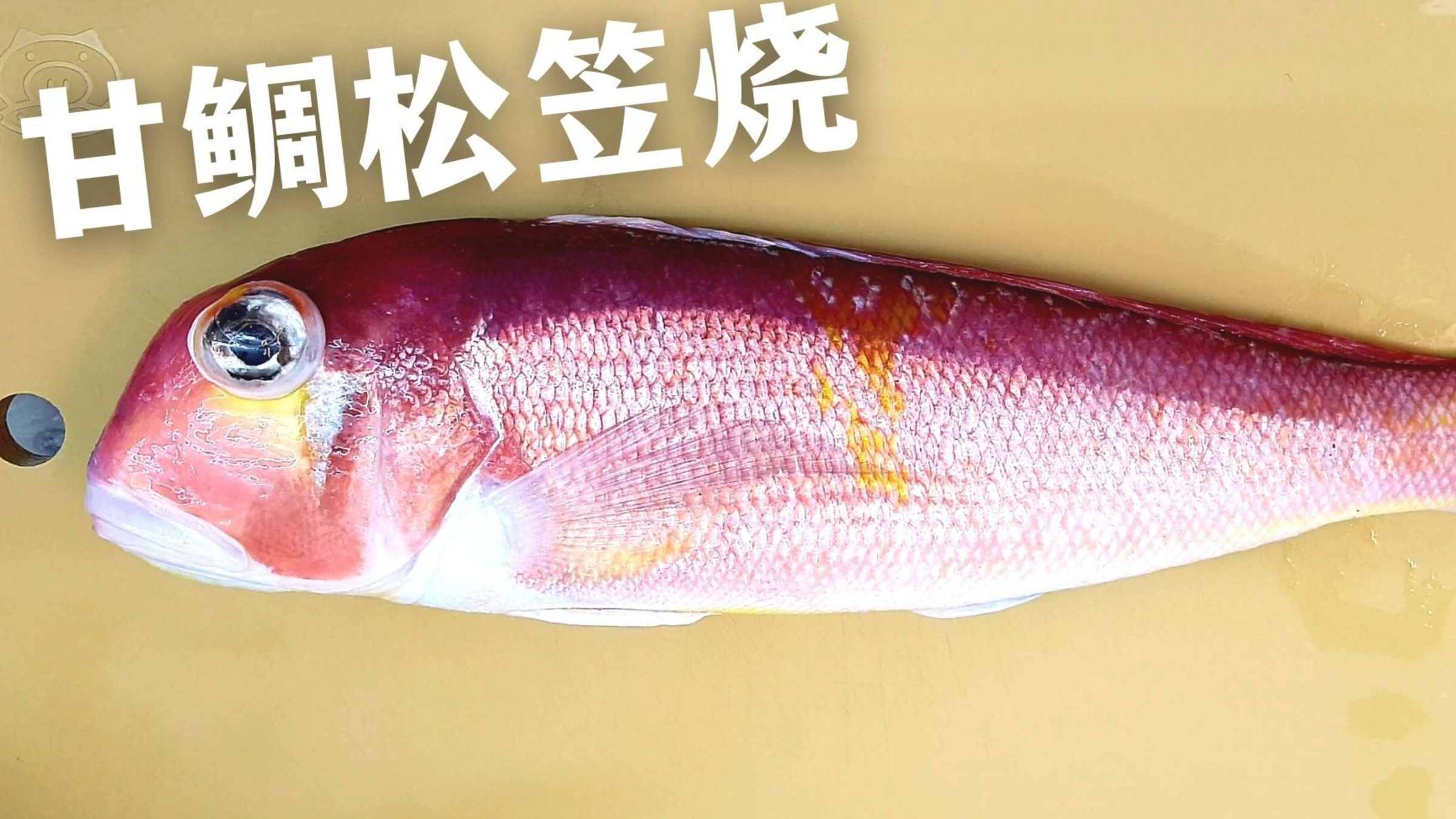 马头鱼怎么吃?这样做必须好吃。