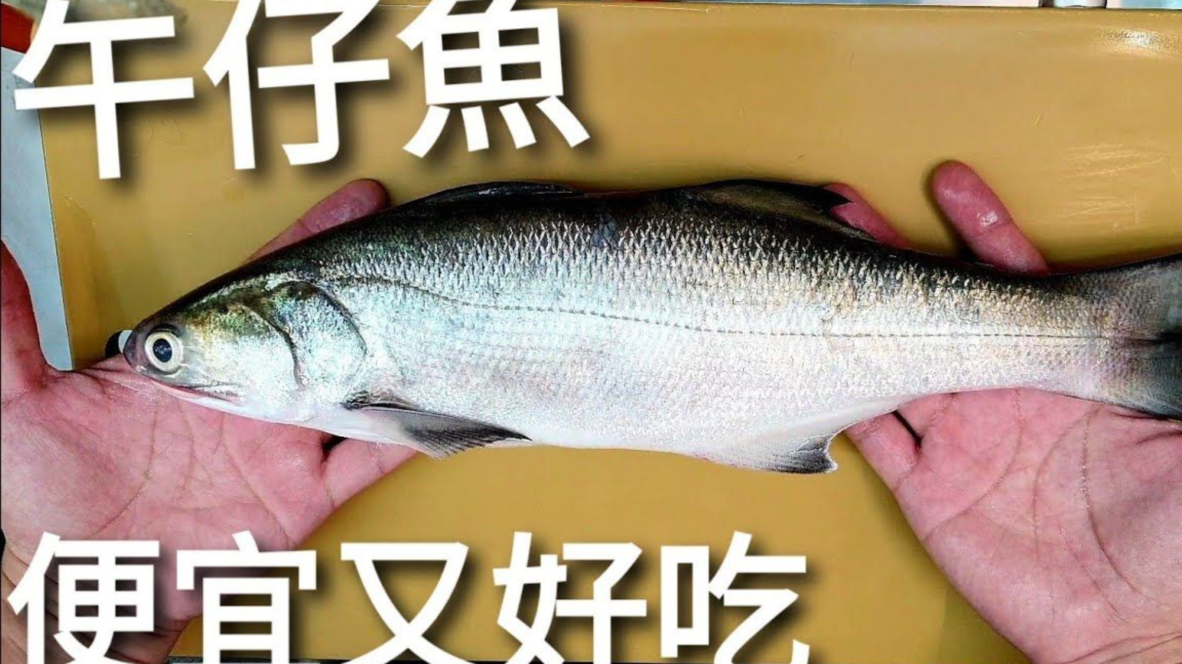 马友鱼怎么吃,一鱼三吃,鲜到掉眉毛