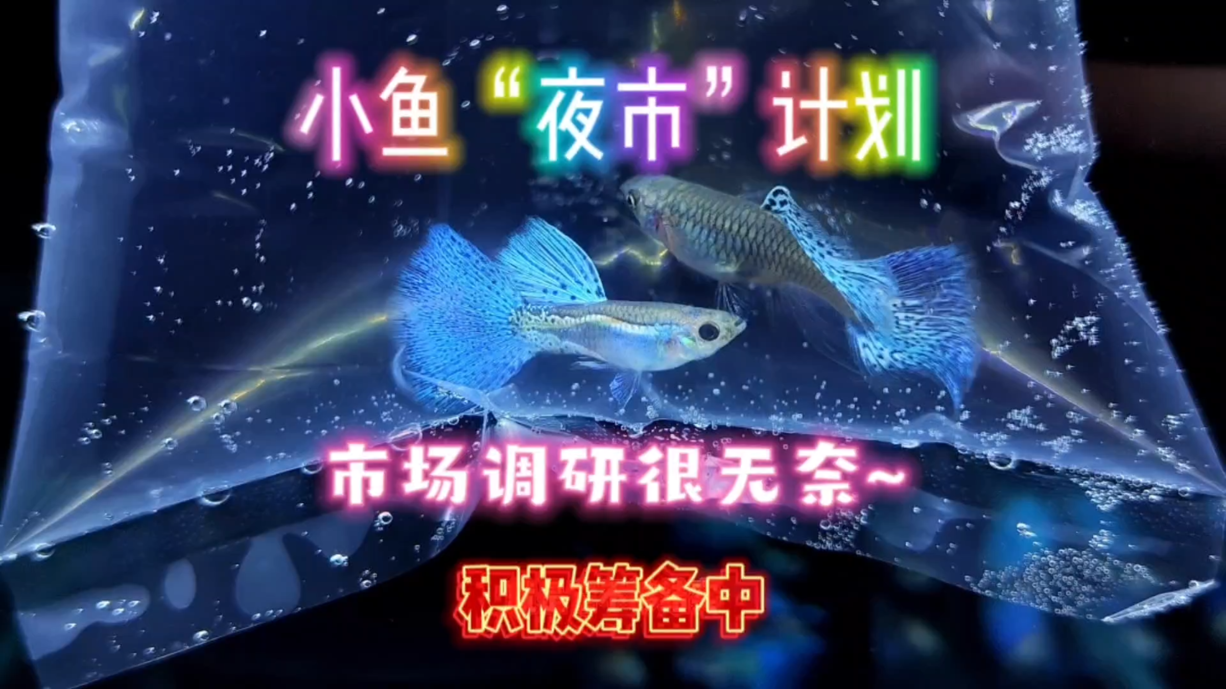 小鱼“夜市”计划!今天去鱼市做市场调研,没想到大失所望!