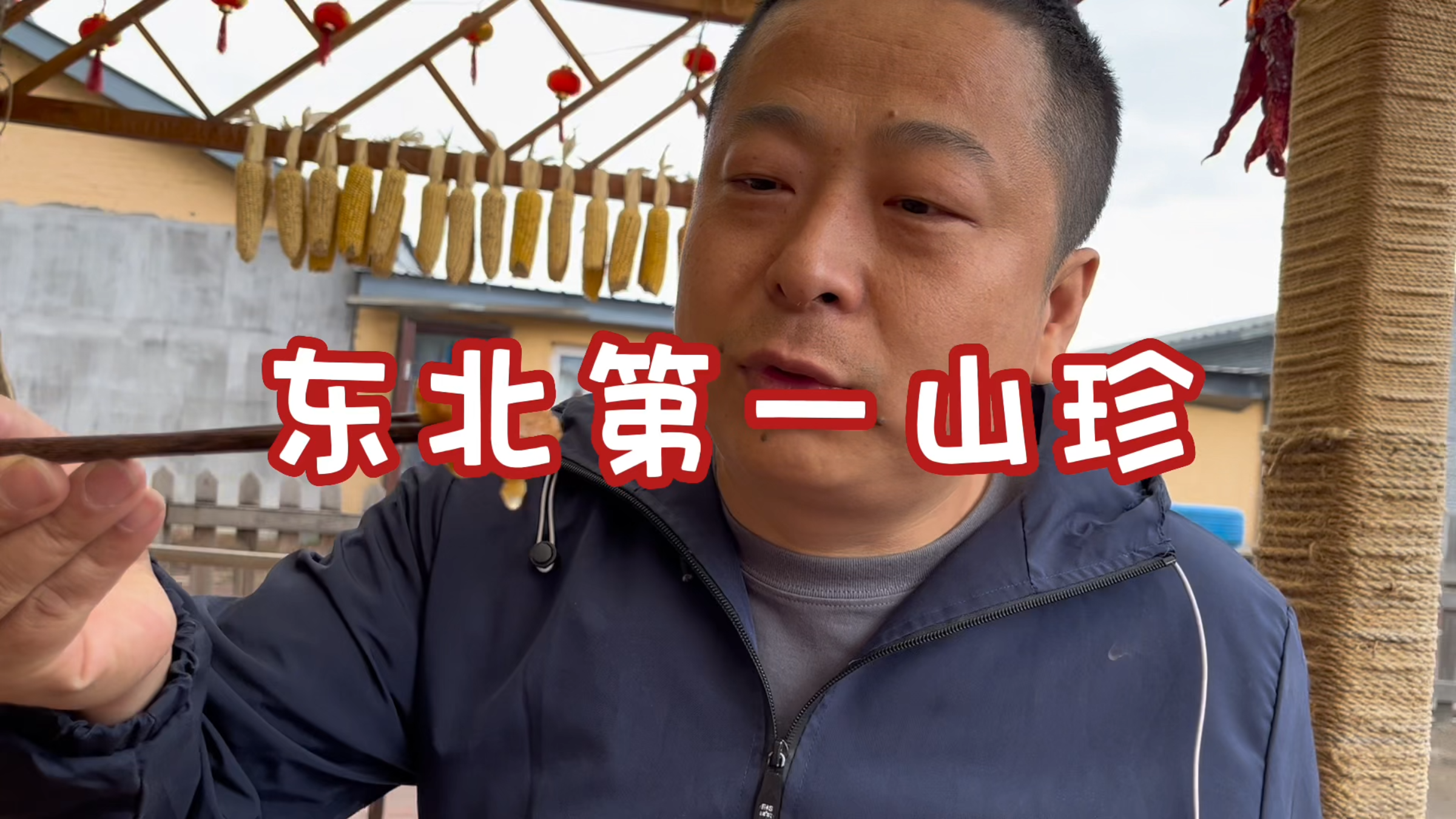 东北农村生活,下雨天冷,翠花做蘑菇鸡汤,满满的东北山珍