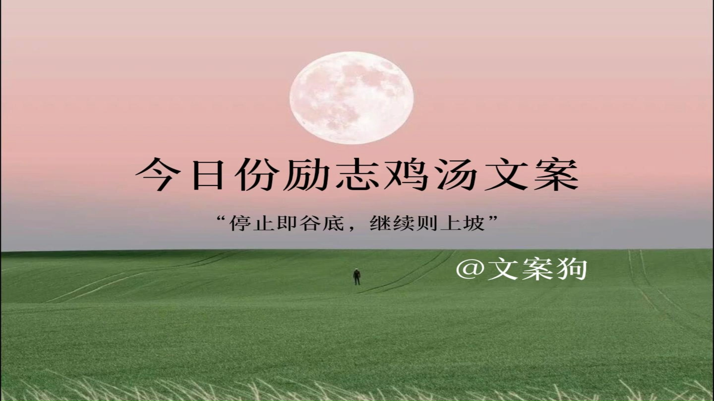 今日份励志鸡汤文案