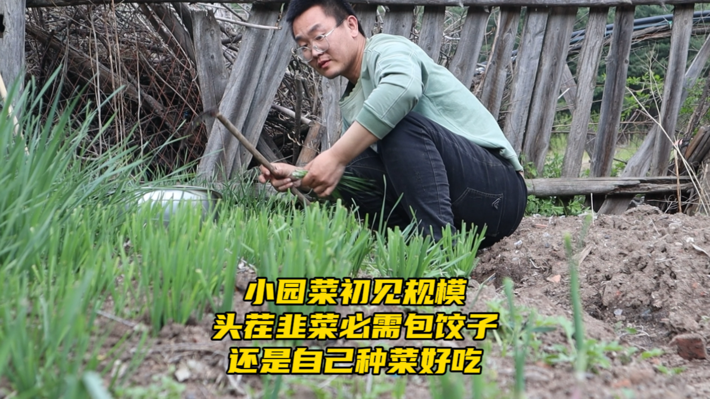 农村生活真便利,小园菜根本吃不完,头茬韭菜包饺子味道太鲜亮了