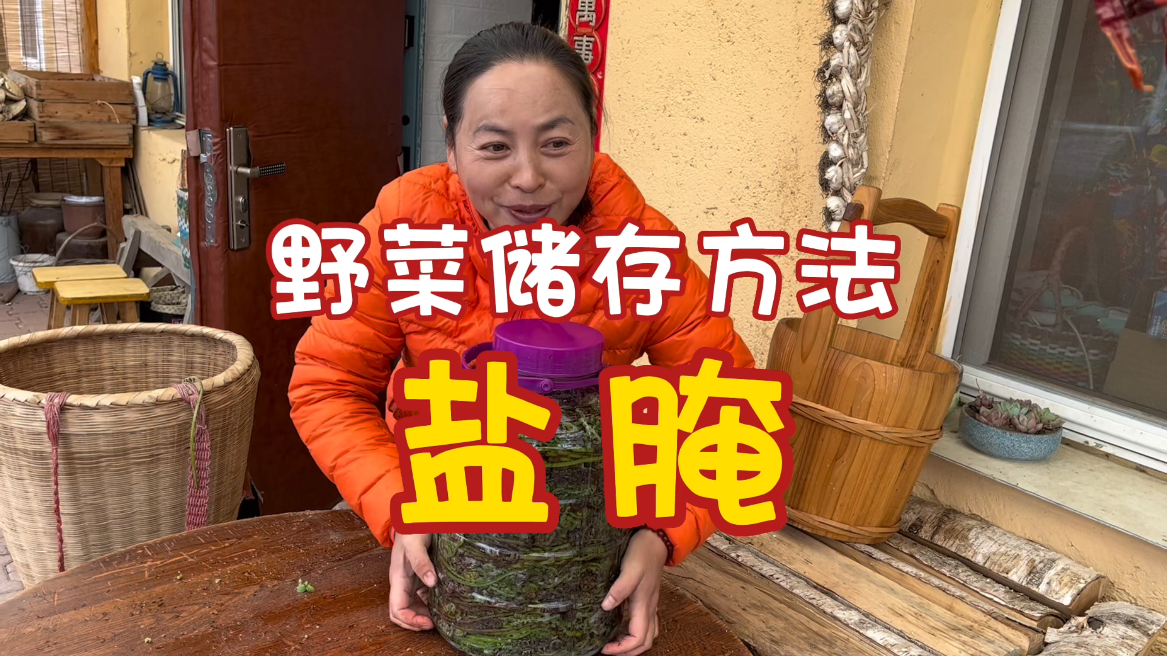 东北农村野菜季节，新鲜野菜怎么储存，用盐腌制可以存放一年