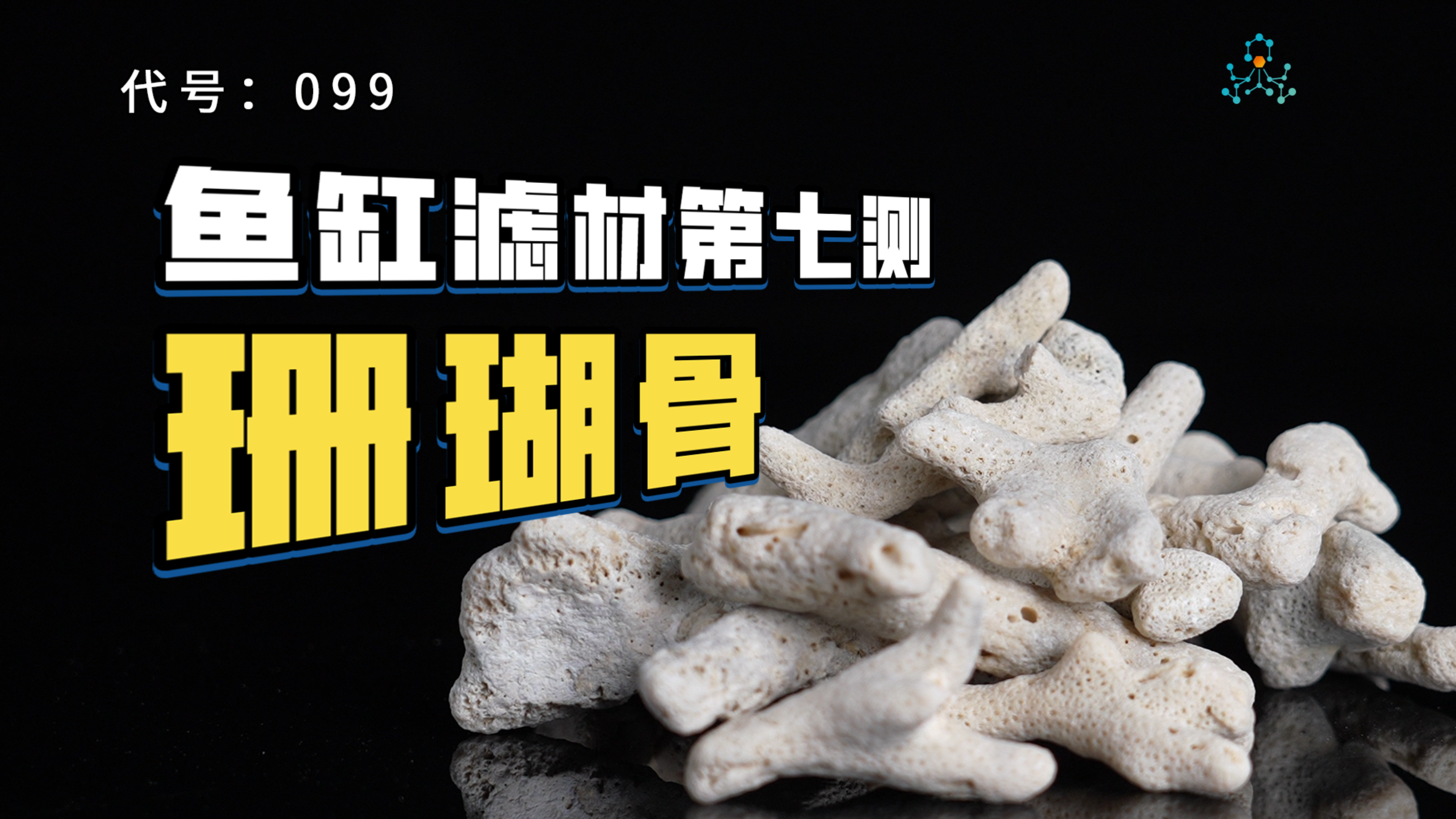 滤材评测丨珊瑚骨会是天然滤材里的佼佼者吗?