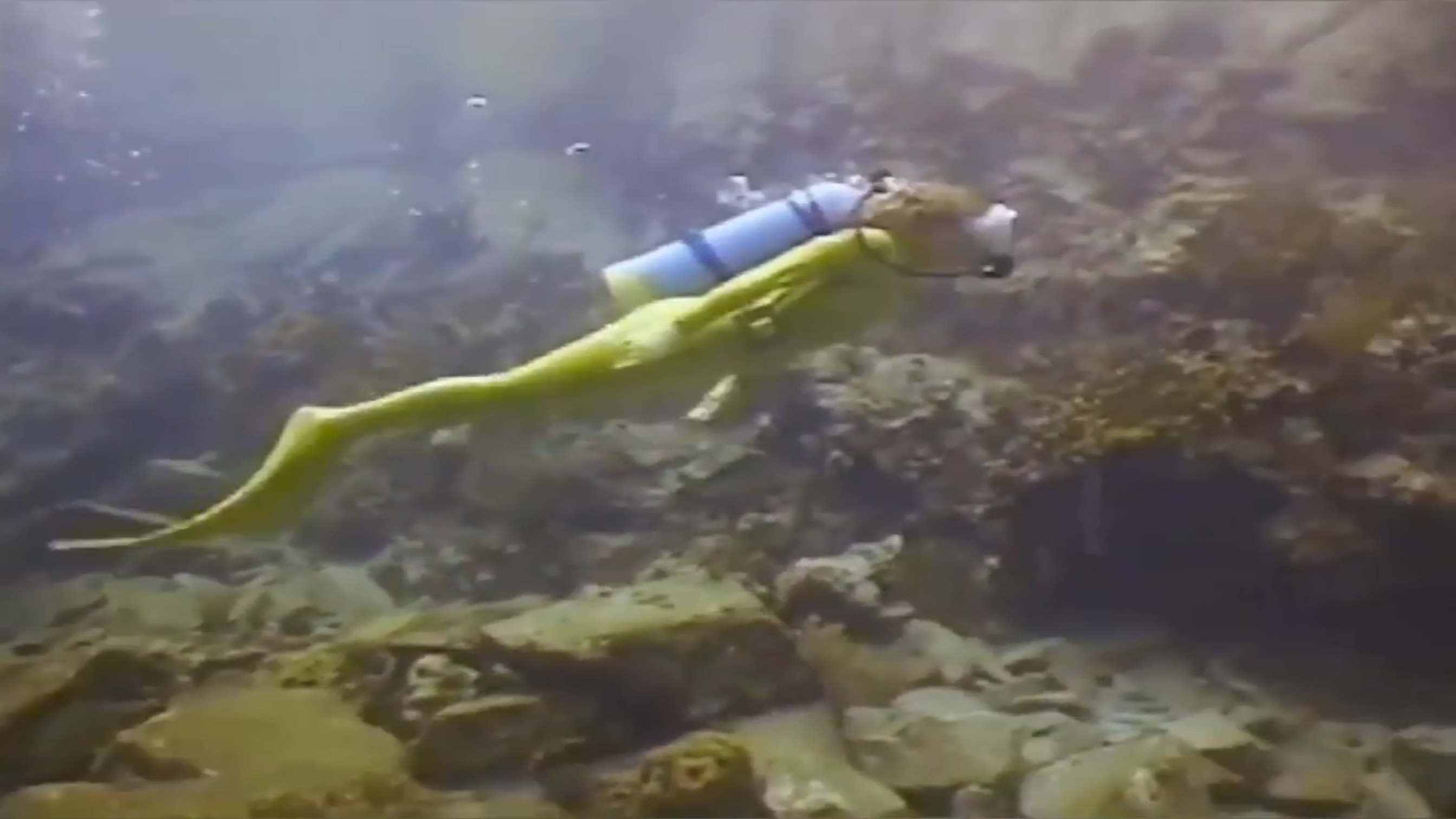 性感胶衣美人鱼游泳